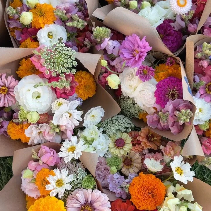Absolutely beautiful market! Some of my favorite mixes. Thank you to those who came out and supported Oat&rsquo;s lifestyle. He&rsquo;s most grateful. We&rsquo;re most grateful 🧡 
.
.
.
.
.
.
.
.
. 
#coloradosprings #localflowers #flowerfarming #far