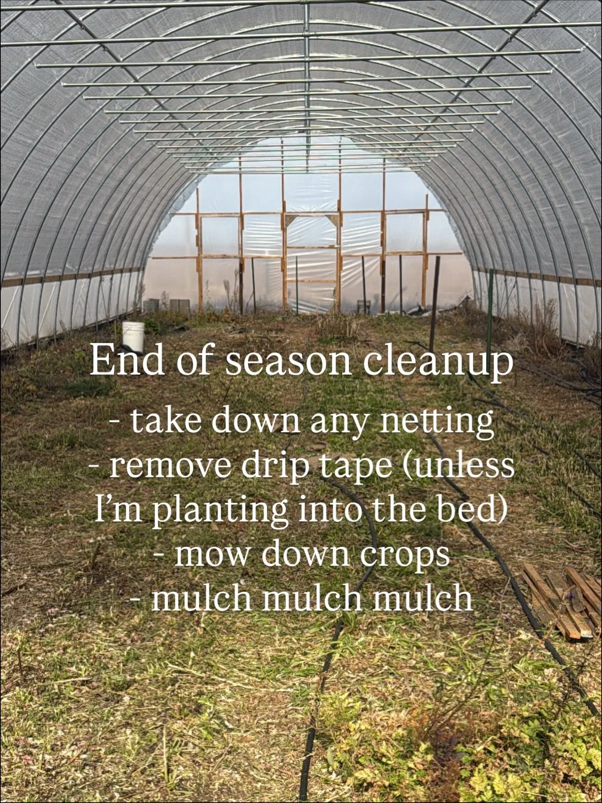 This week we ~scavenged~ and collected as many bags of leaves as we could find to mulch the tunnel. With my climate being sun drenched and airid ive learned that preserving as much moisture as possible has led to better soil and plant quality on the 