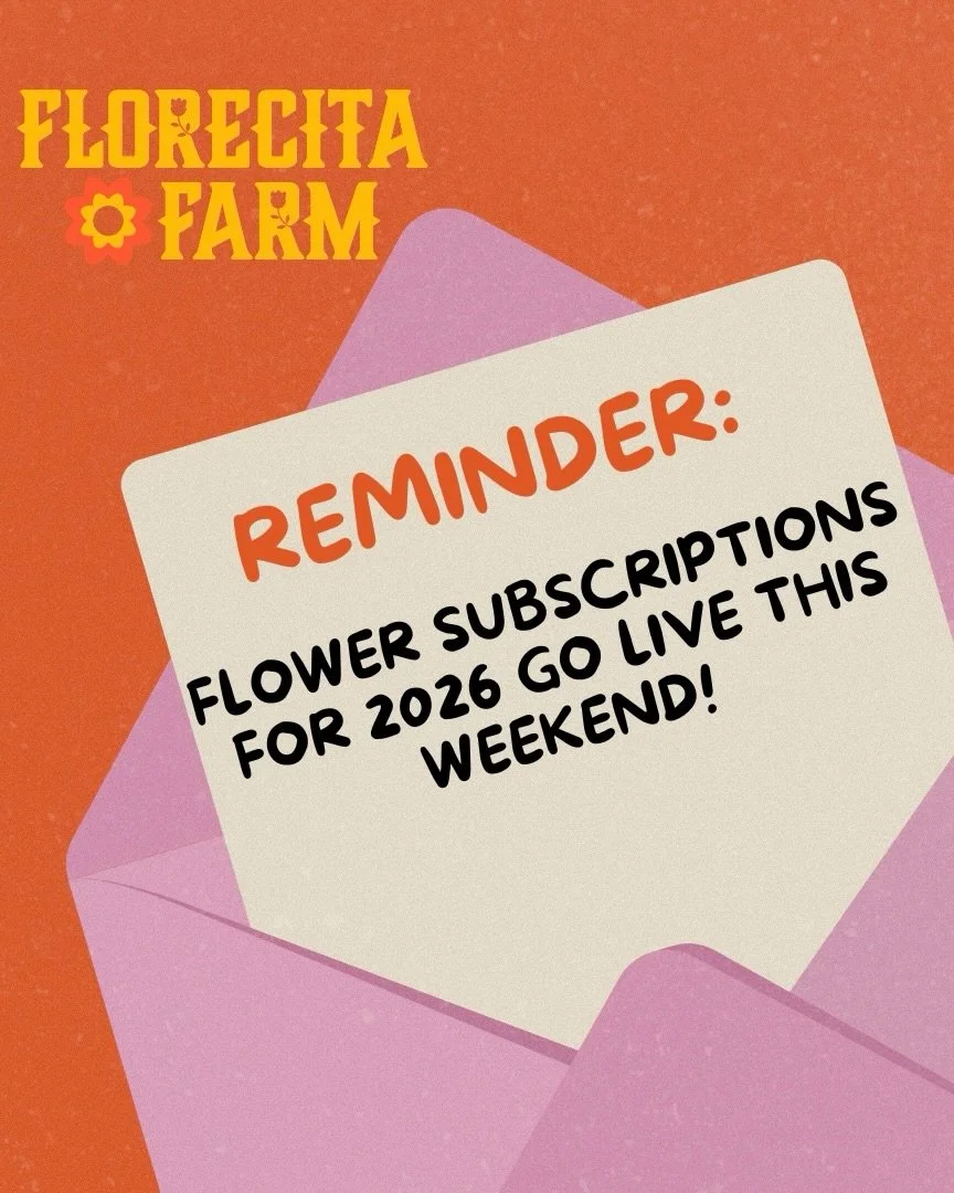 The perfect gift comes in the shape of flowers 🌸 so excited to announce the rollout for 2026 subscriptions go live this weekend! Whether it&rsquo;s self care, a gift for a loved one, or to share with a friend, subscriptions are how you can get your 