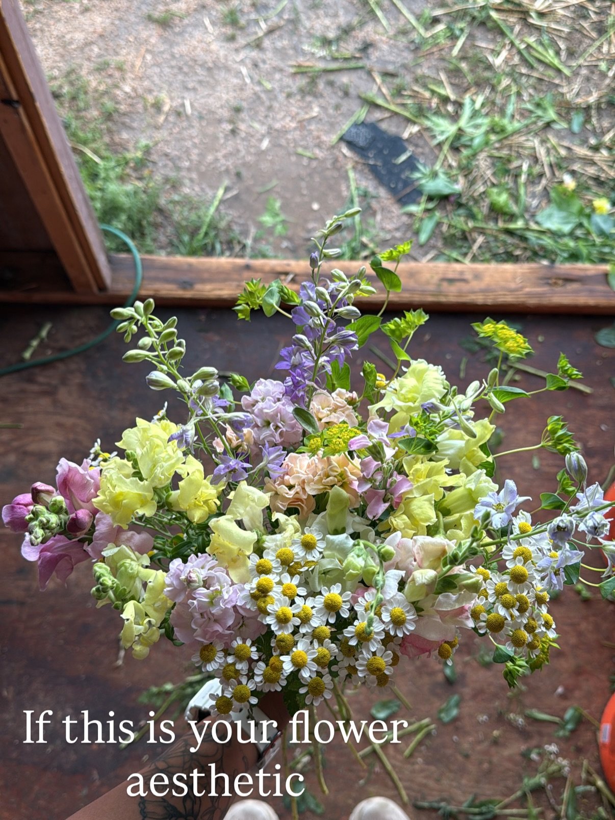 If you&rsquo;ve bought my bouquets you know that I love a theme, I love a vibe, I love a mooooood! If you want to get the most curated bouquets we offer checkout our flower club offers on our website! 

www.laflorecitafarm.com 🌸

The best value on f