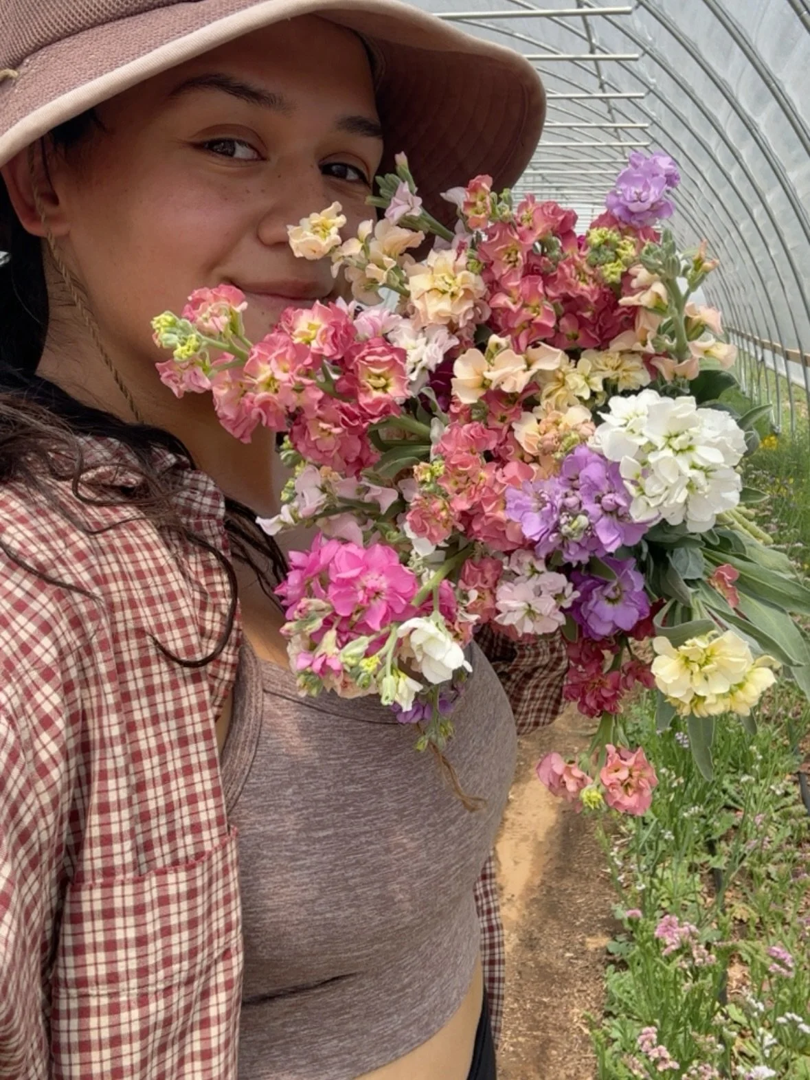 Next week is the beginning of our seed starting season and I can already SMELLLLLL harvest season lol! Stock seems to thrive in our tunnel so we are doing lotttttts this spring! The apricot color is *chefs kiss* my hopes are to get this as early as w