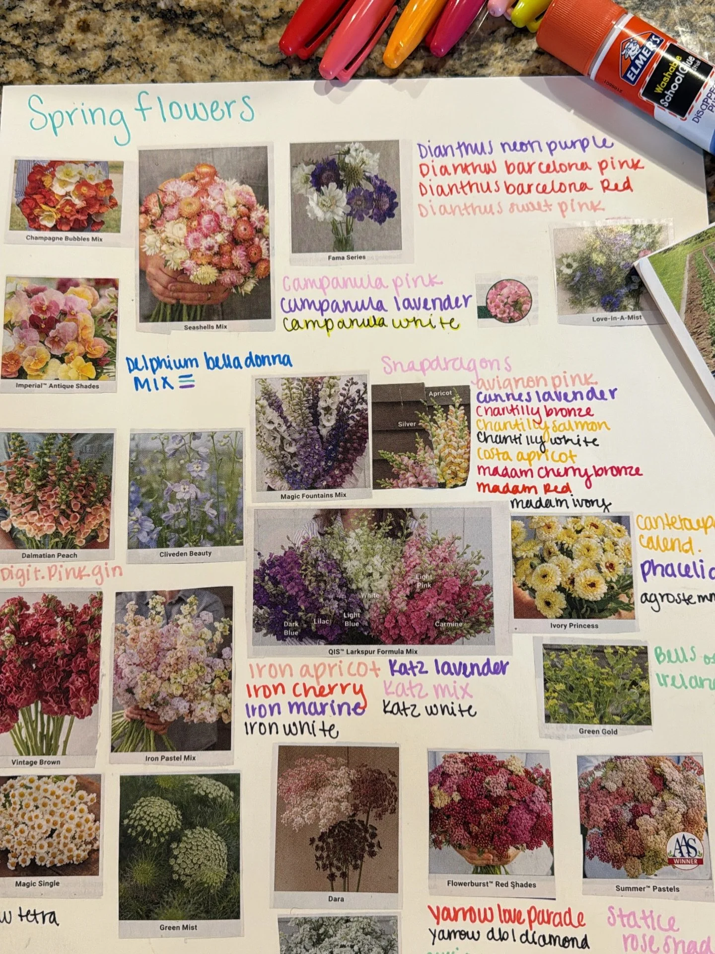 I AAAAAALMOST got rid of my Johnnys seed catalog (where I get most of my seeds) when I realized there were plenty of pictures to make my springs visual board! I generally have an idea of color palettes in my head but I really wanted a visual of the s