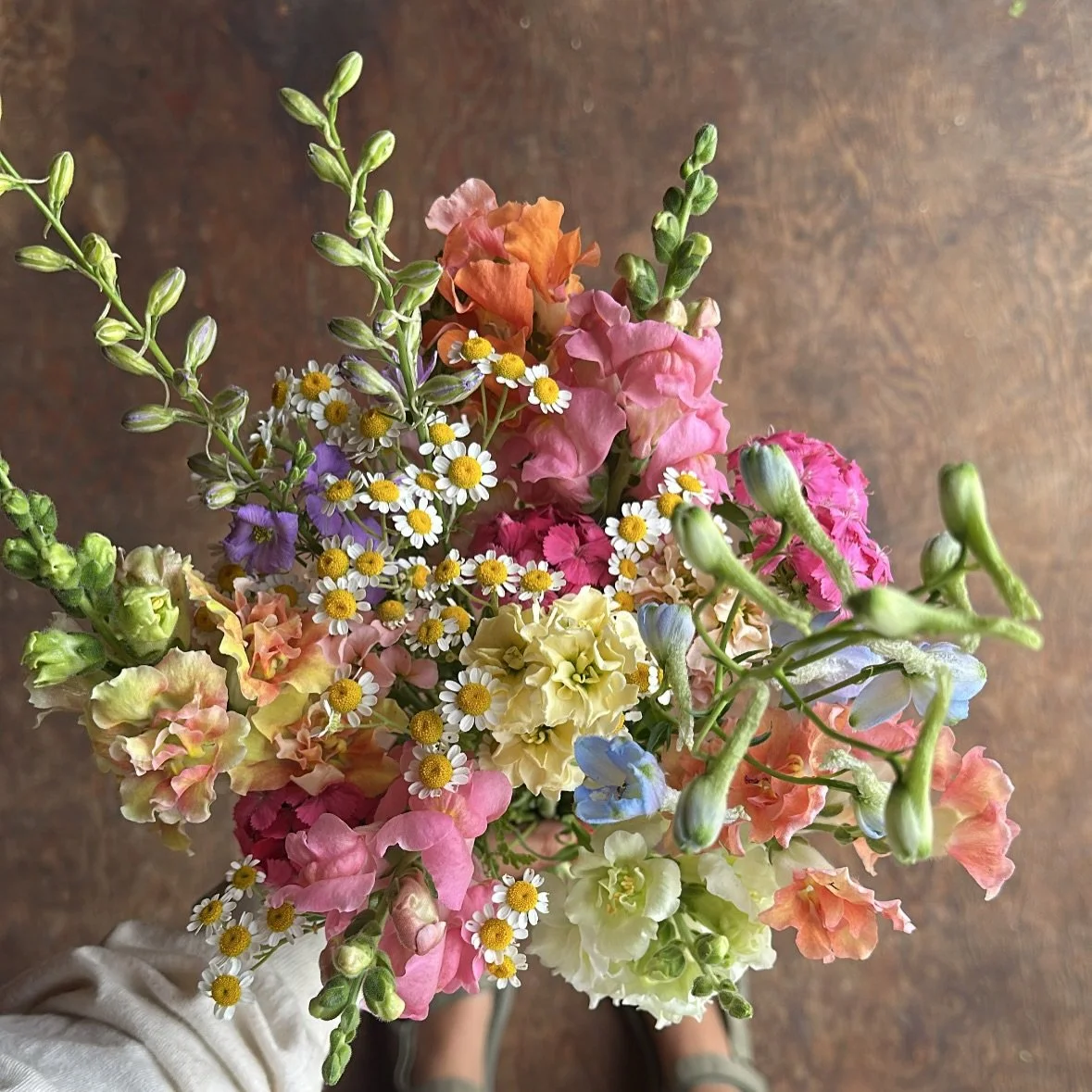This month is the first big push of seed starting! This bouquet from last season inspired the palette for what we&rsquo;ve got germinating right now. Snaps, Delph, feverfew, yarrow, larkspur, campanula, &amp;  dianthus are the slowest growers so they