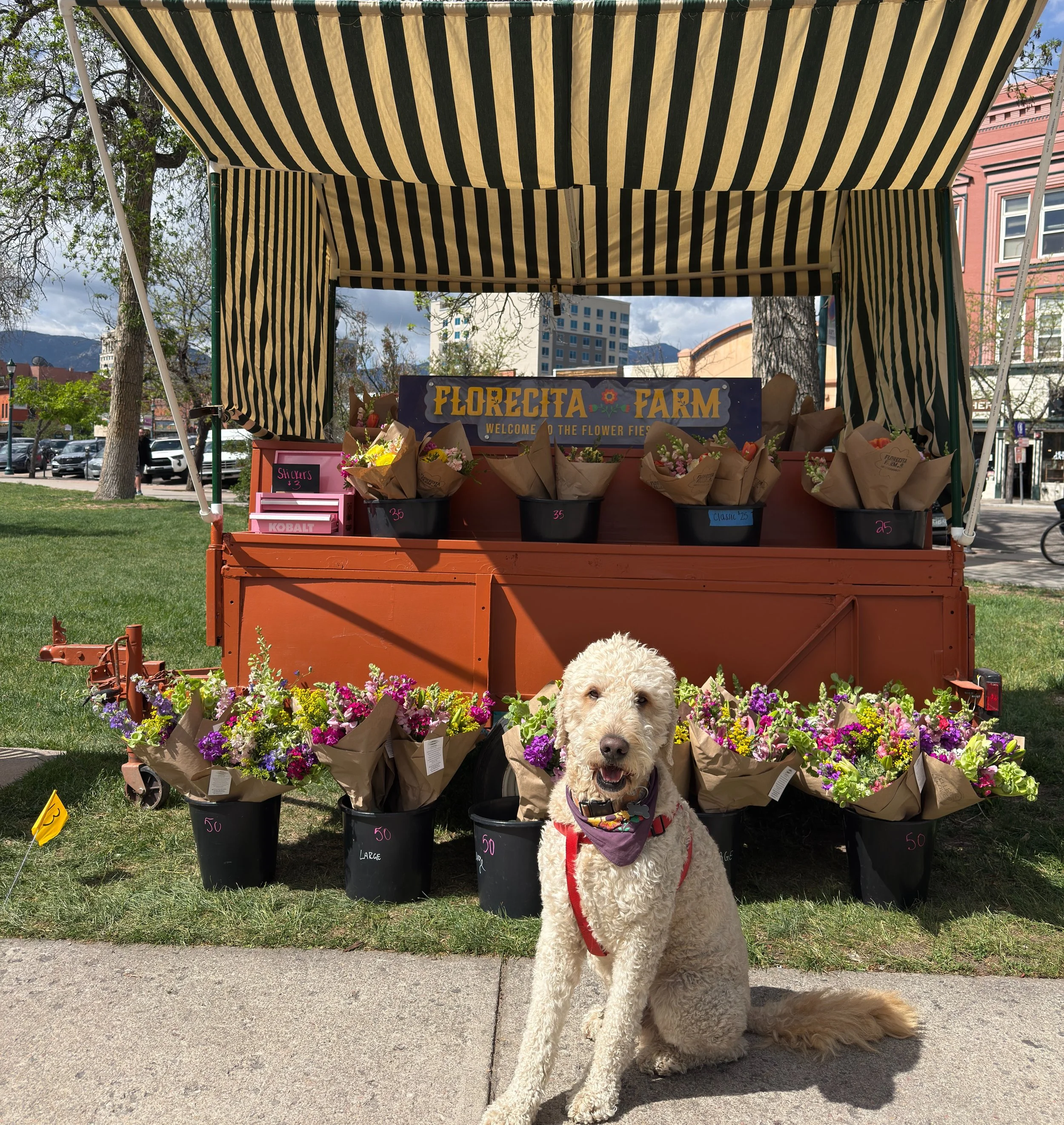 Thank you so much to everyone who came out on this beautiful day for our first market @coloradospringssundaymarket ! I&rsquo;m always nervous for market days so if you came by when I was in a bit of a frenzy - I appreciate your patience with me!! 😅?