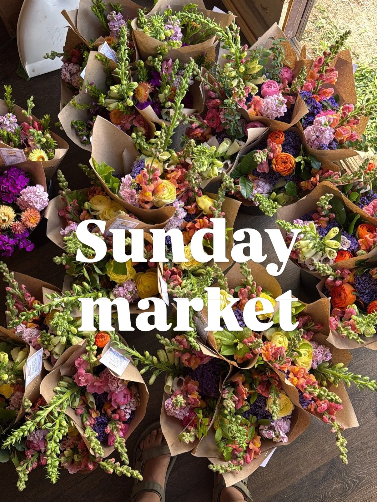 See you tomorrow, Colorado Springs! Acacia Park @coloradospringssundaymarket 9am-2pm! Fresh flowers in some poppy vibes! ☀️ 🥕🌸💜