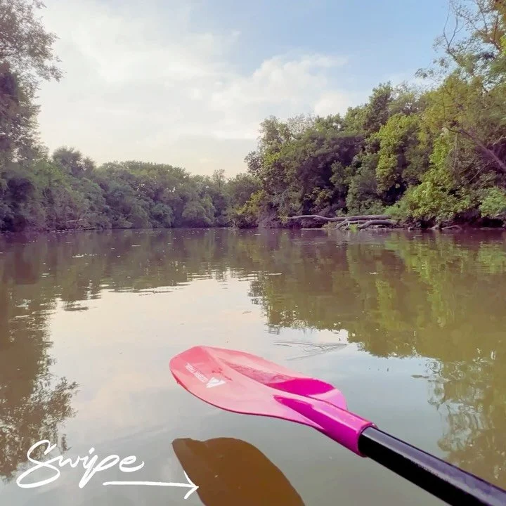 ✨ New Blog Post ✨
&ldquo;Overcoming Discouragement in the Wilderness&rdquo;

Have you ever found yourself in a season where God&rsquo;s promises feel far away, your heart aches with waiting, and discouragement creeps in? I&rsquo;ve been there and I s