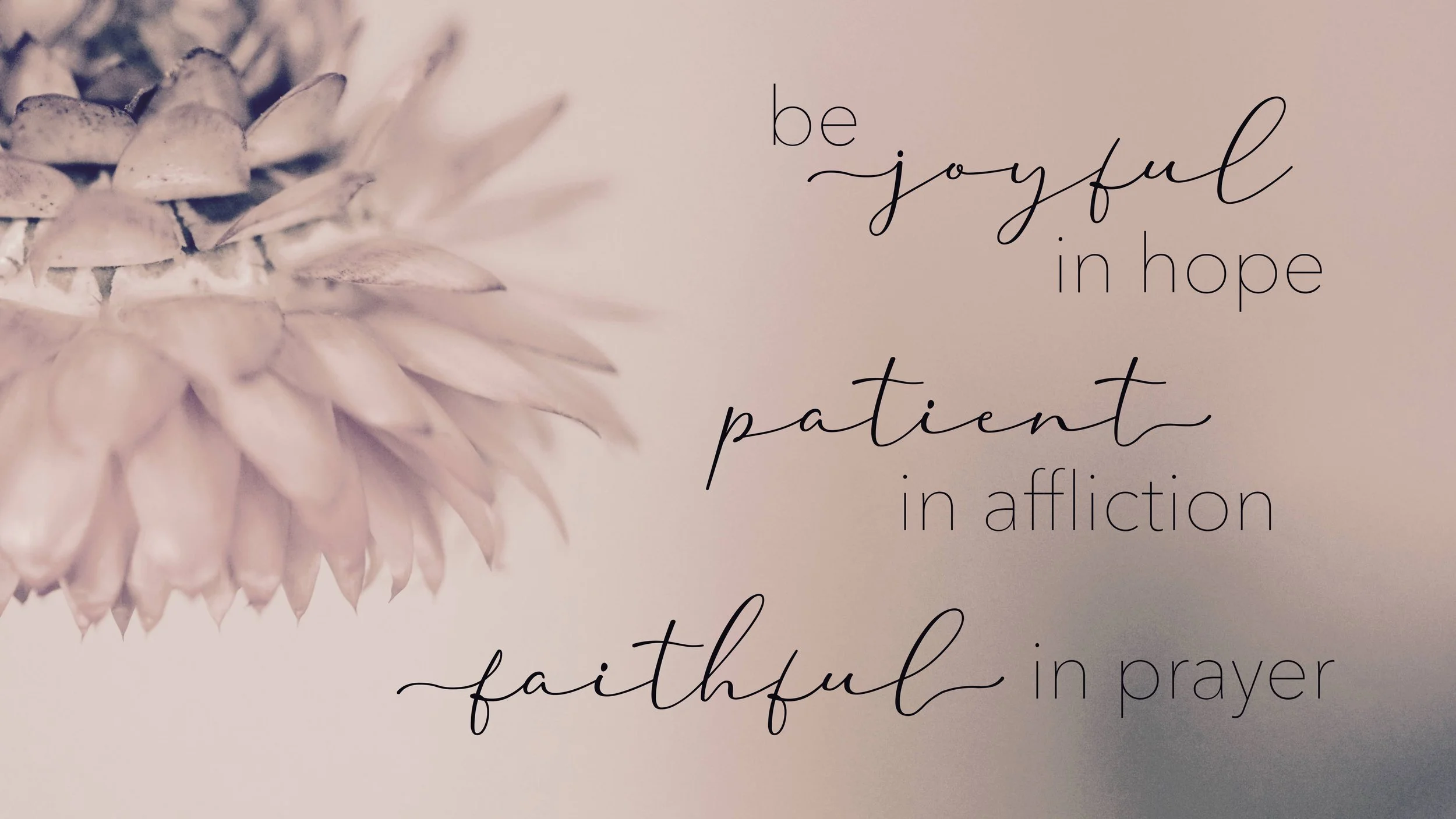 A light-colored flower with layered petals on the left side of the image, and motivational text on the right side that says, "be joyful in hope, patient in affliction, faithful in prayer."