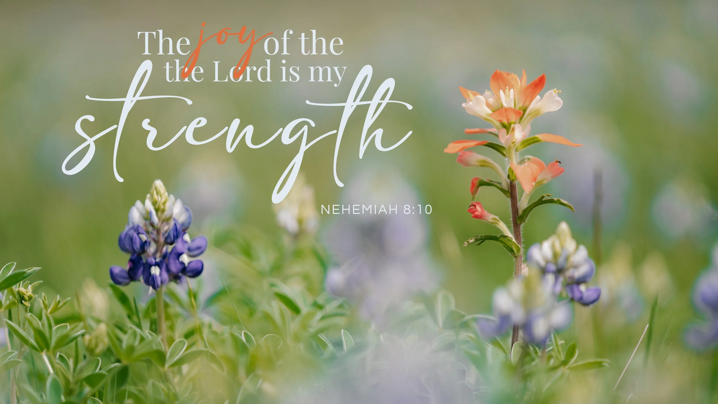 A close-up of colorful wildflowers with an overlaid quote from Nehemiah 8:10, reading: "The joy of the Lord is my strength."