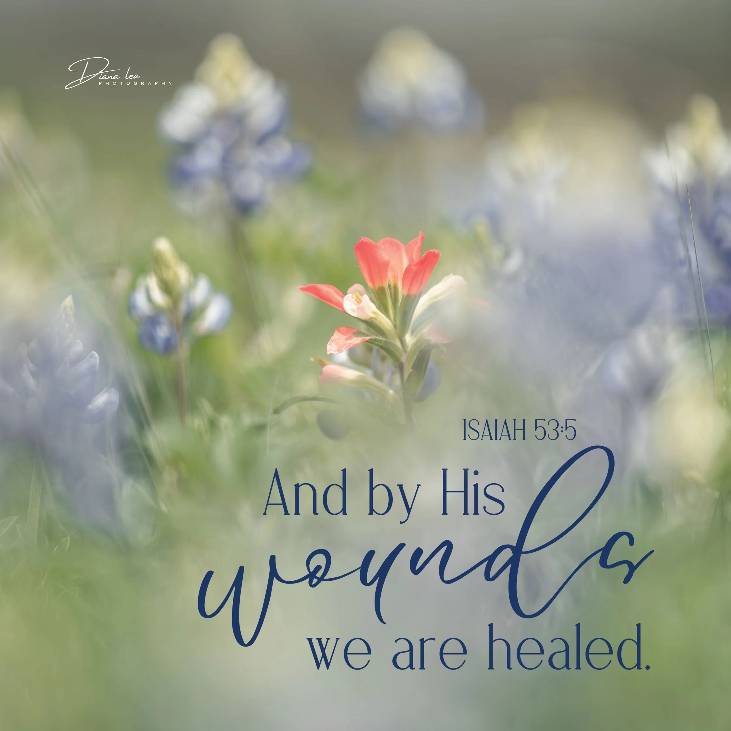 A soft-focused photo of springtime flowers with a pink flower in the foreground and blurred blue and purple blooms in the background. Overlaid text reads: "ISAIAH 53:5 And by His wounds we are healed."