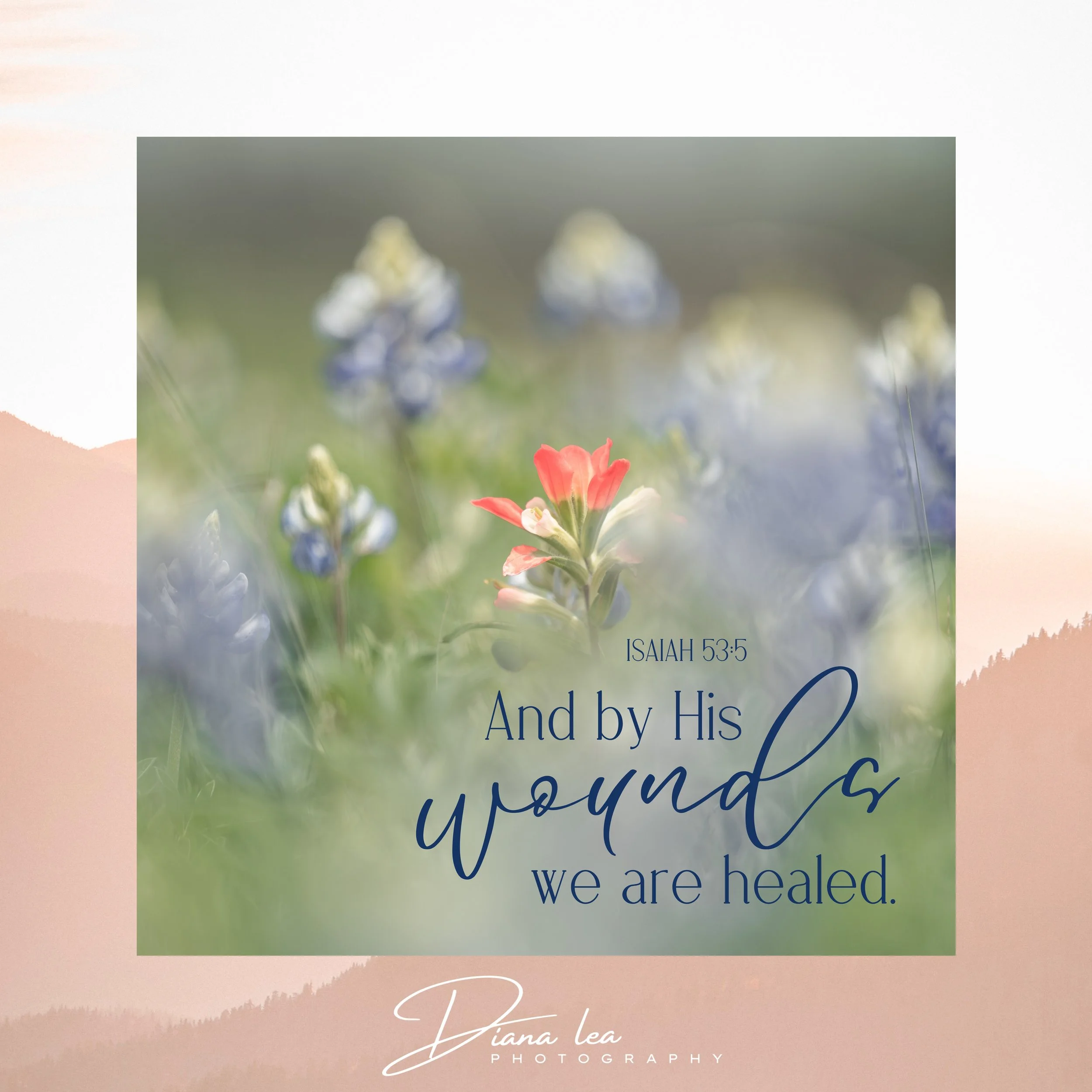 A blurred garden scene with blue and white flowers and a single pink flower in focus. Overlaid text includes a Bible quote from Isaiah 53:5: 'And by His wounds we are healed.'
