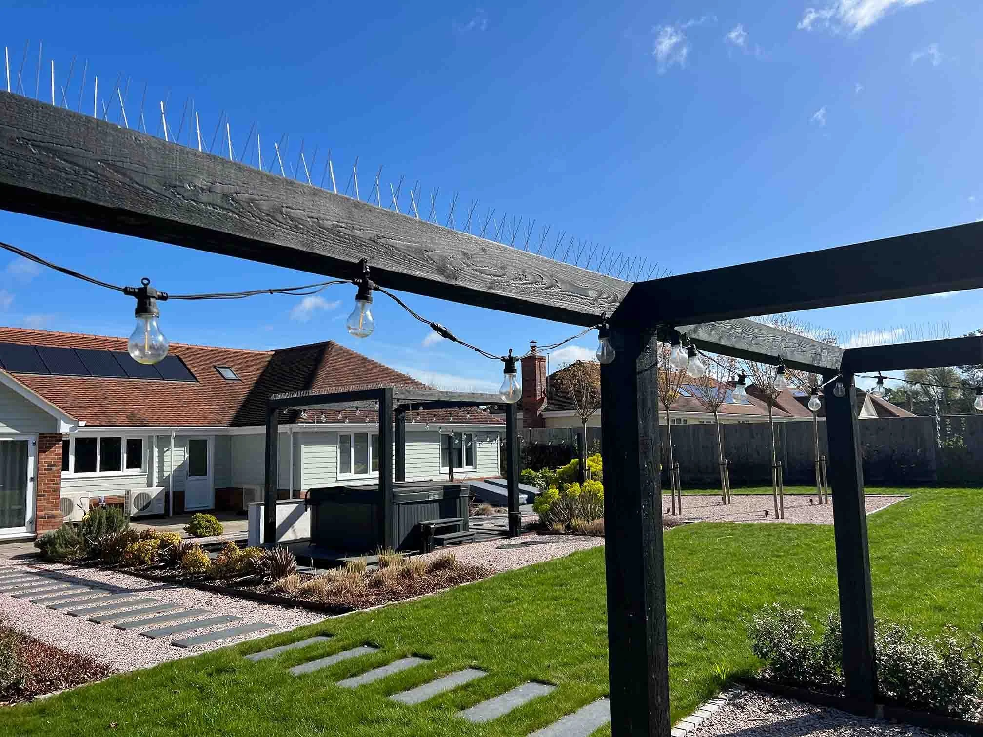 Garden beam with bird spikes on as bird proofing to stop gulls and pigeons nesting on Essex homes and gardens