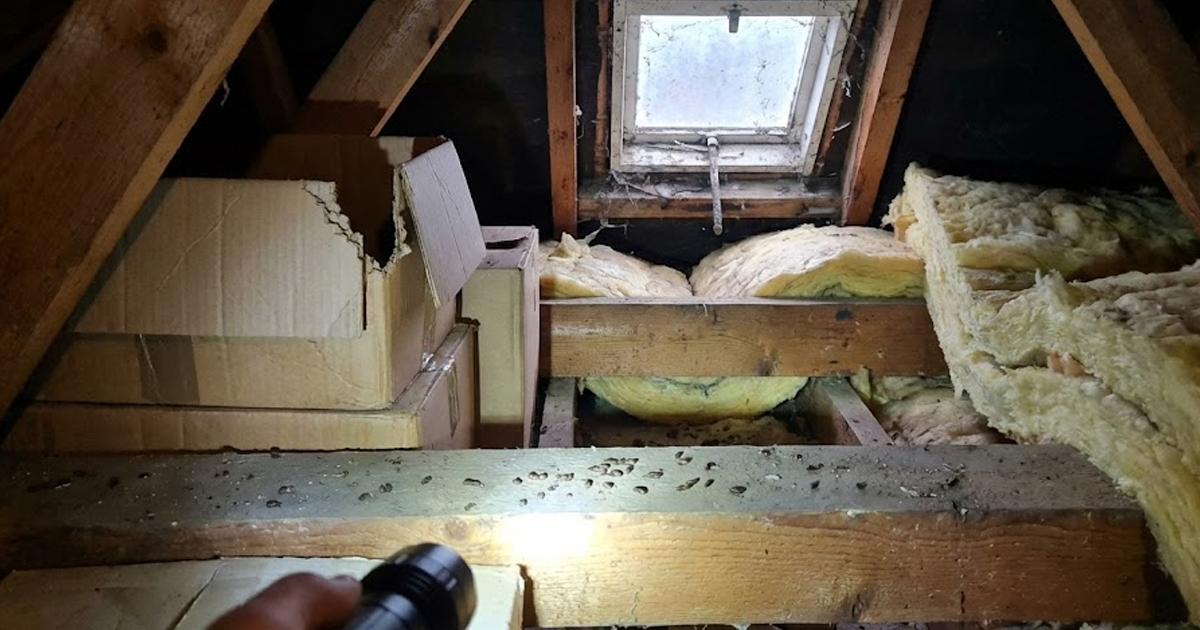 Loft inspection with torchlight, exposed rafters and insulation around a roof window.