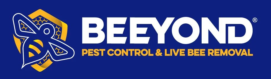 Beeyond Pest Control