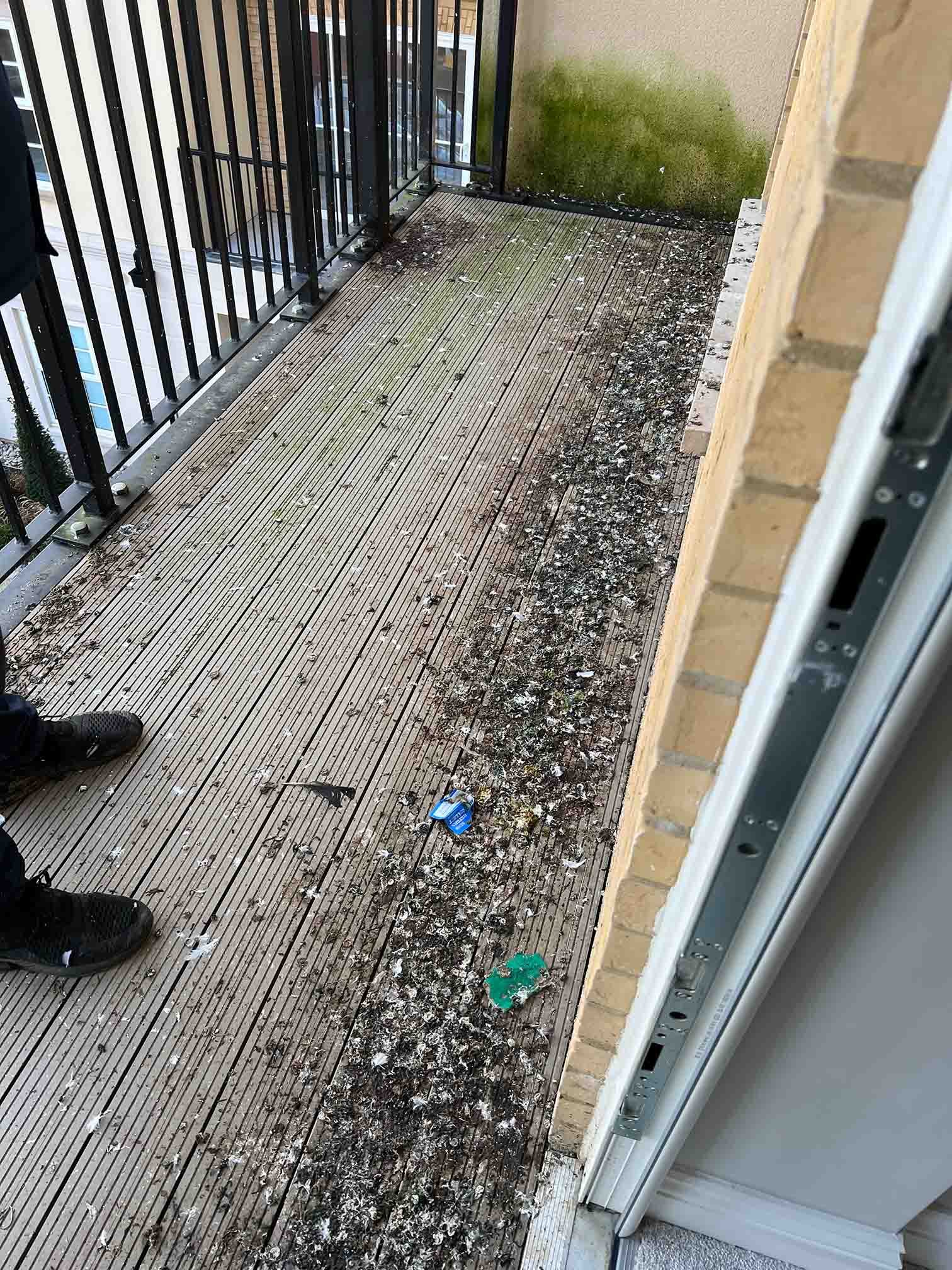 Pest control technician jet washing bird droppings from patio slabs as part of bird fouling clean up service