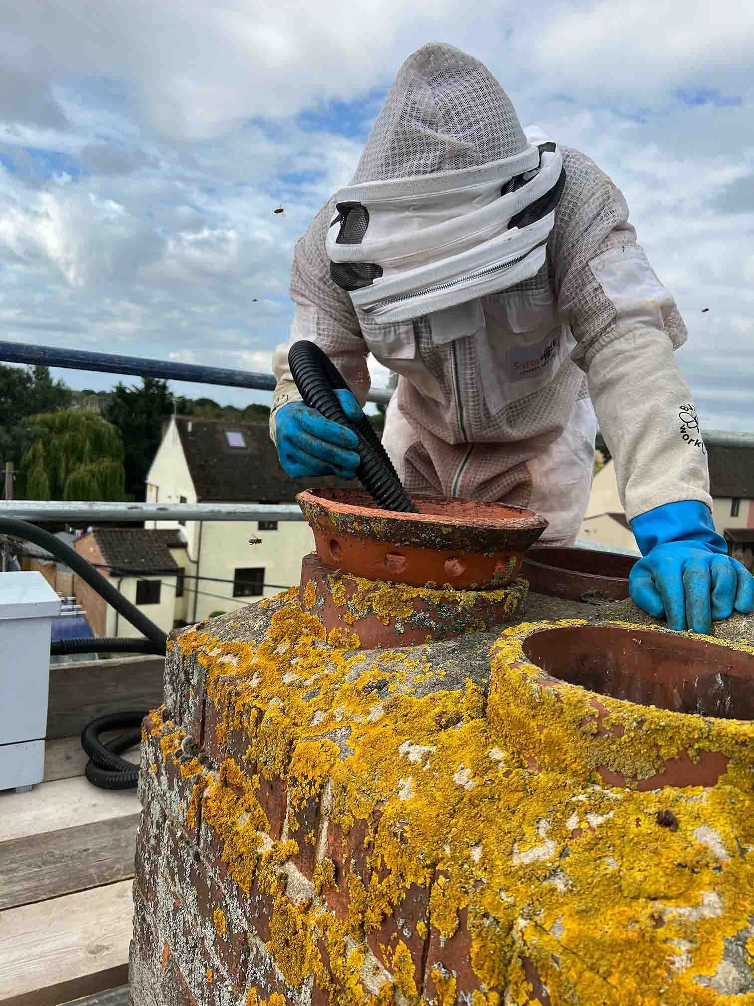 Bee control expert in full protective gear safely removing honey bees from a chimney pot using specialist equipment in Essex.
