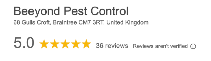 Google reviews page for Beeyond Pest Control showing a 5.0 star rating from 36 reviews, with review filters and customer comments visible