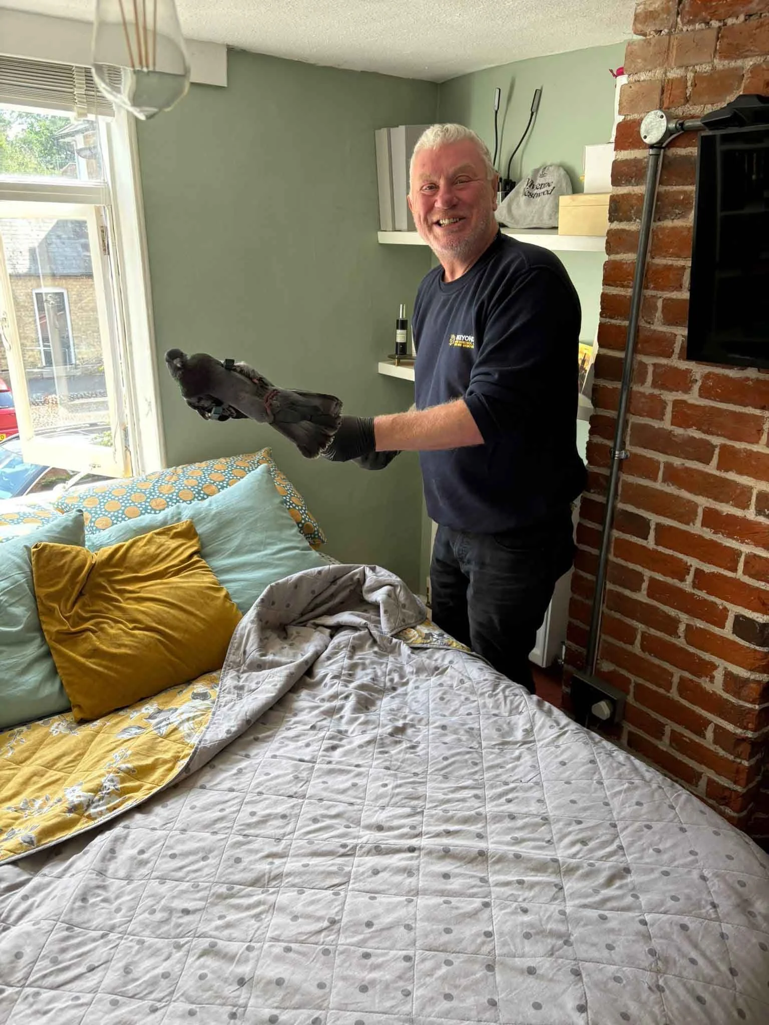 Mark from Beeyond Pest Control holding a rescued pigeon in a bedroom during bird removal in Essex