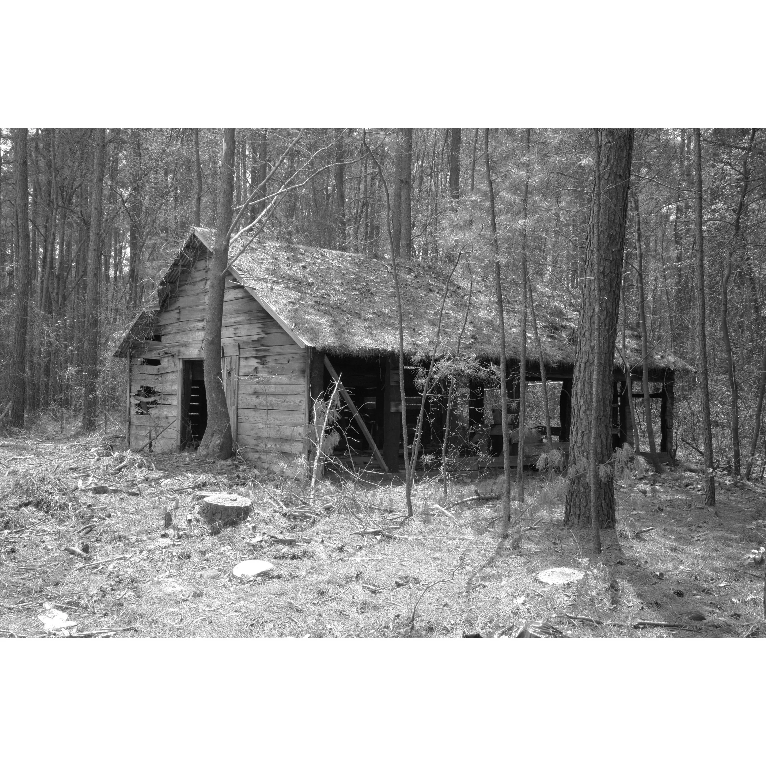 Vanishing States #3