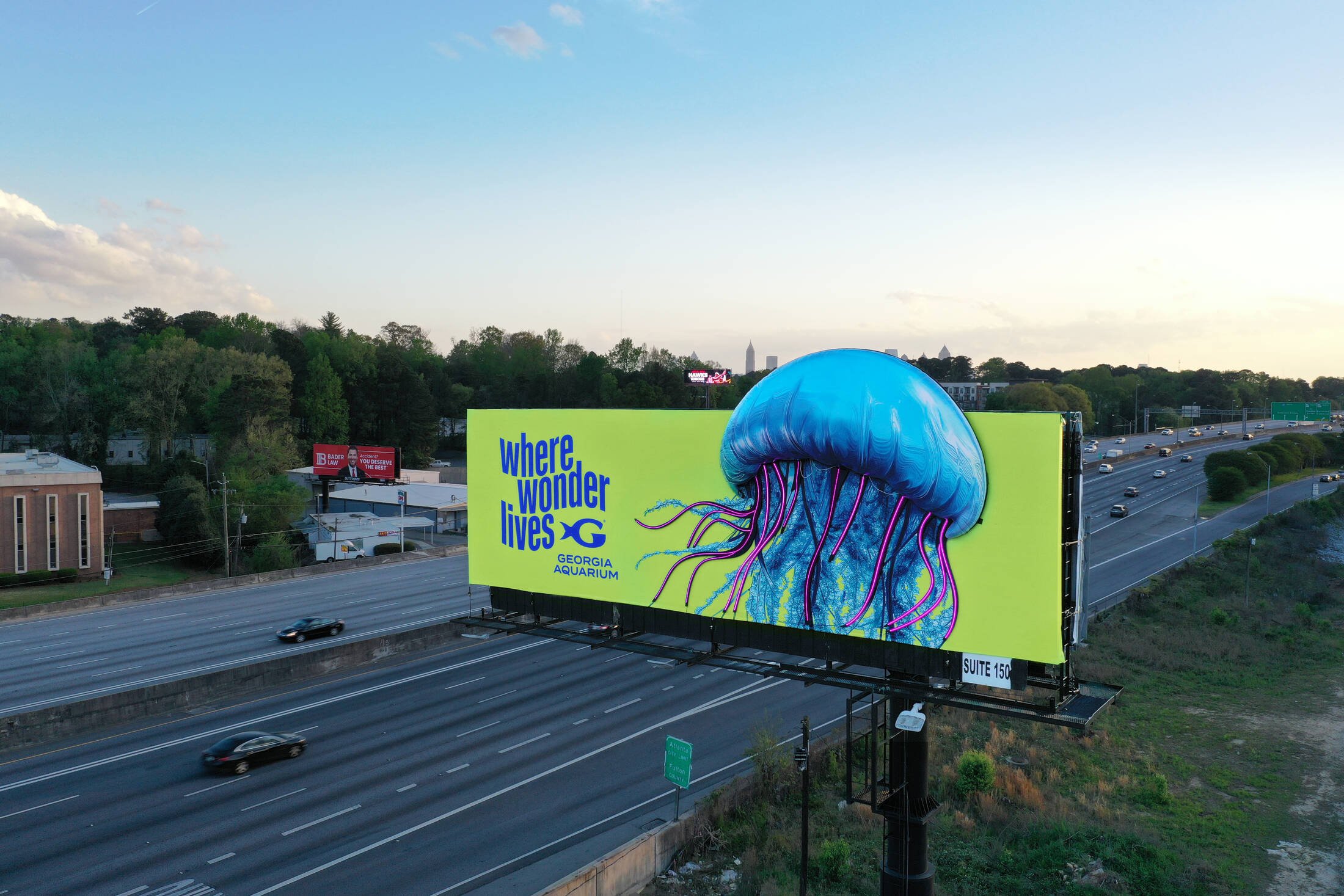 Jellyfish (3).jpg