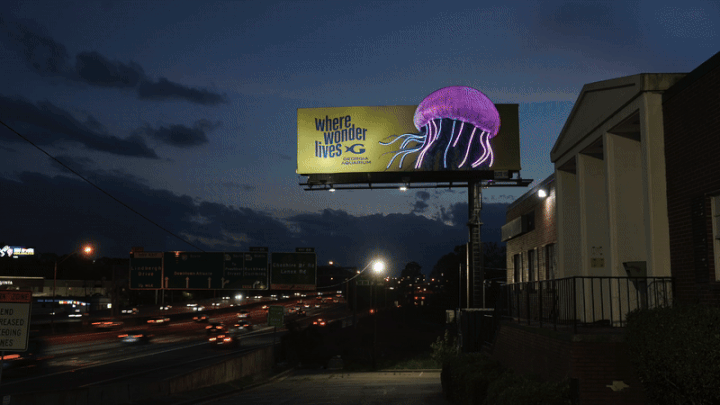 Jellyfish (1).gif