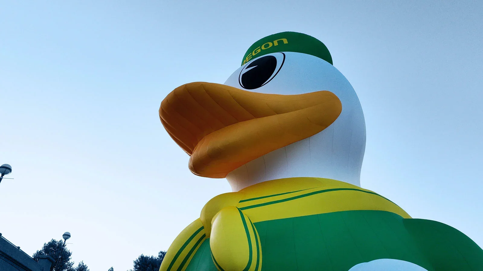 Oducks (3).webp