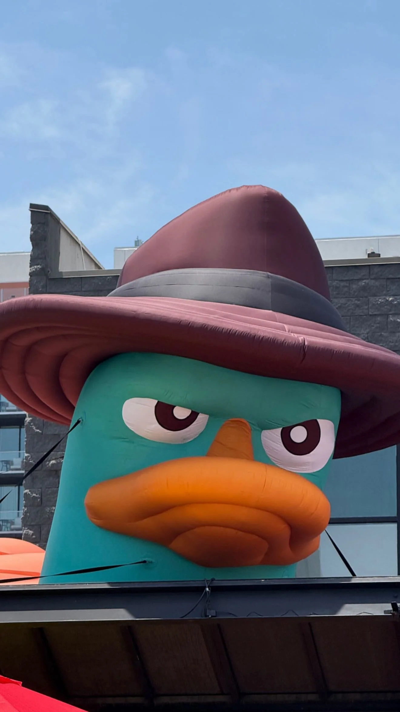 PhinesFerb (10).jpg