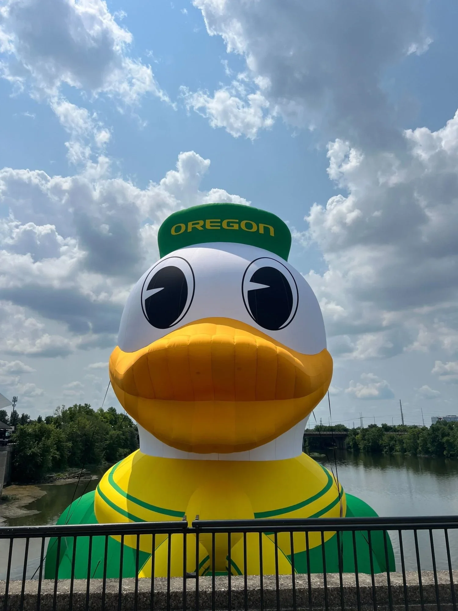 Oducks (8).webp