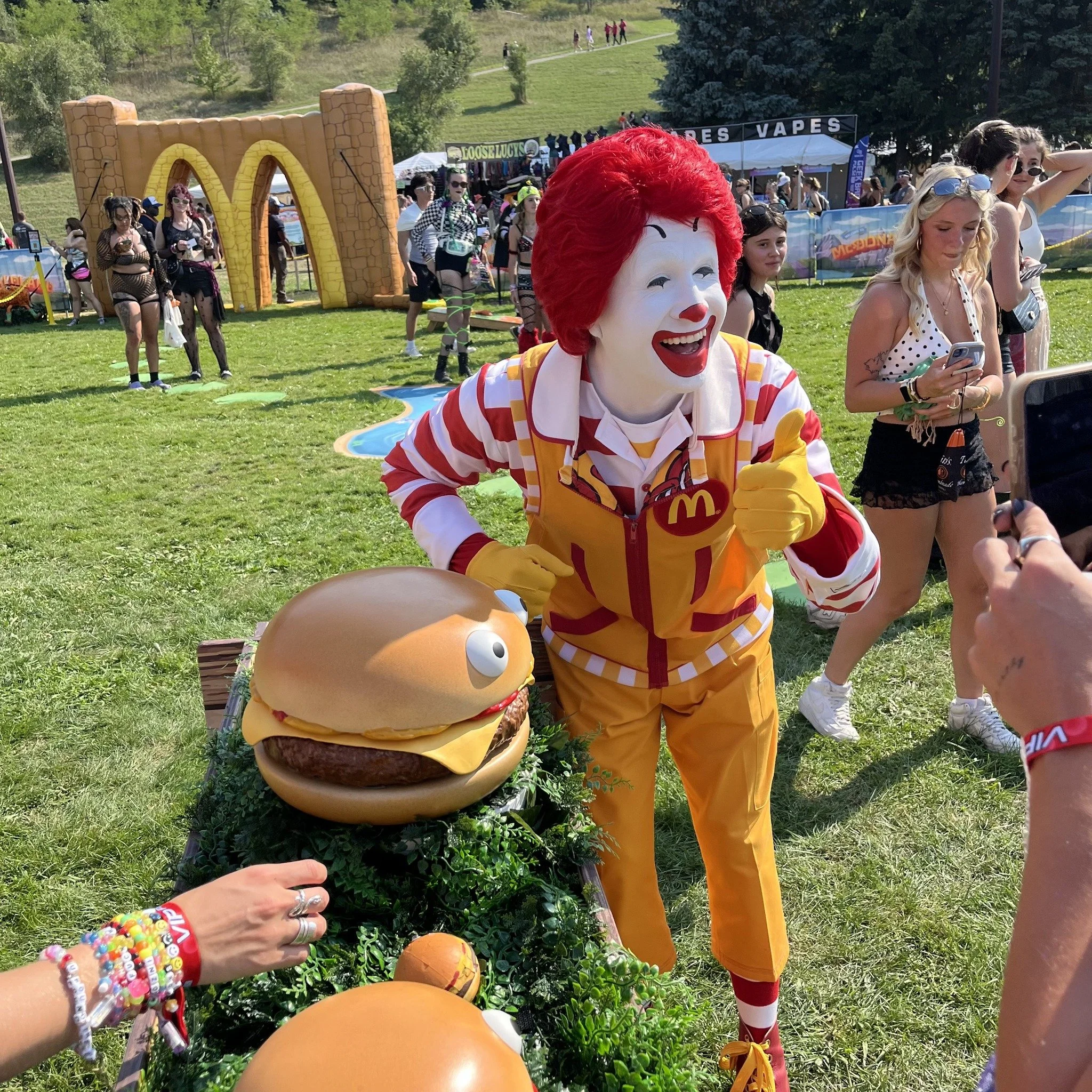 mcdland (1).jpg