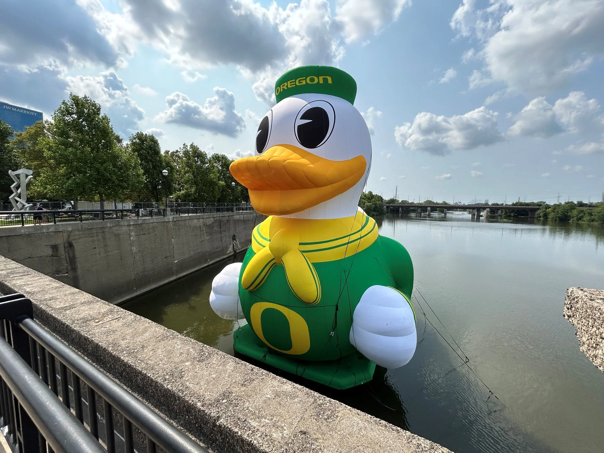 Oducks (2).jpg