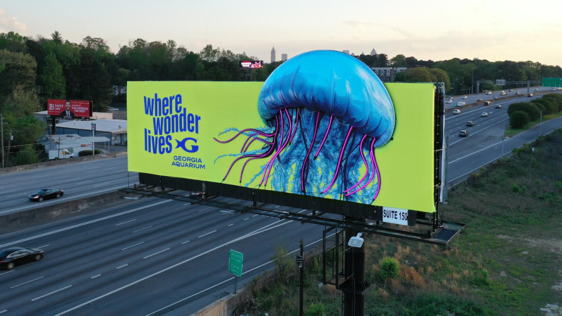Jellyfish (2).png