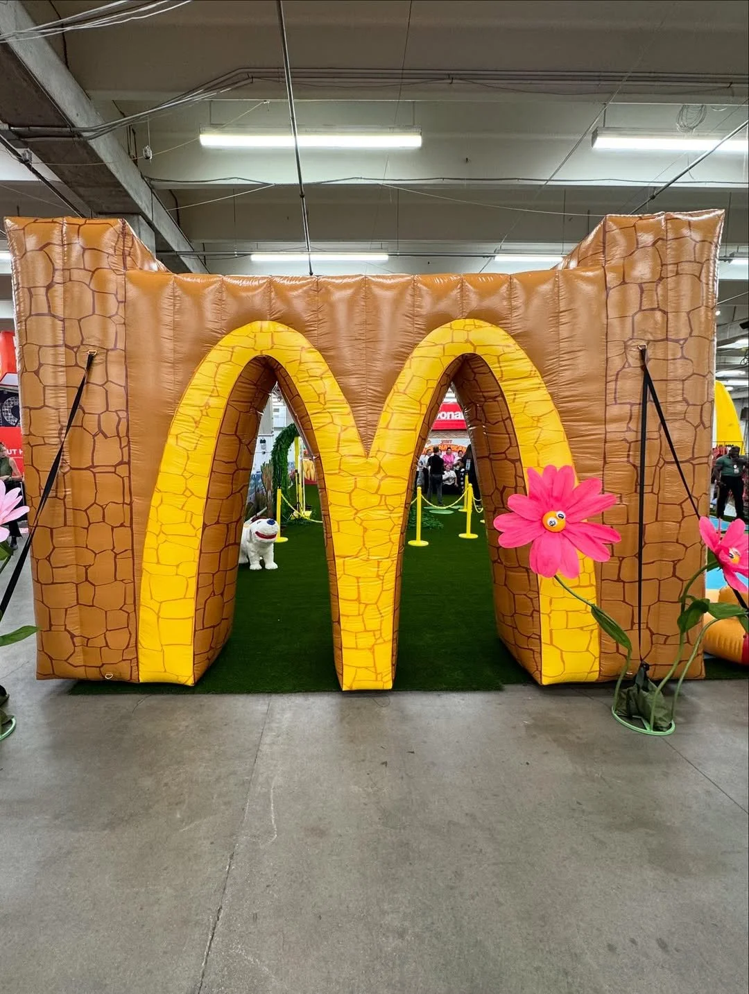 mcdland (3).jpg
