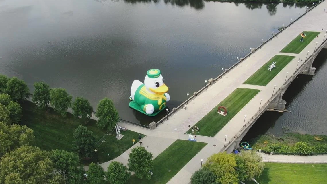 Oducks (1).jpg