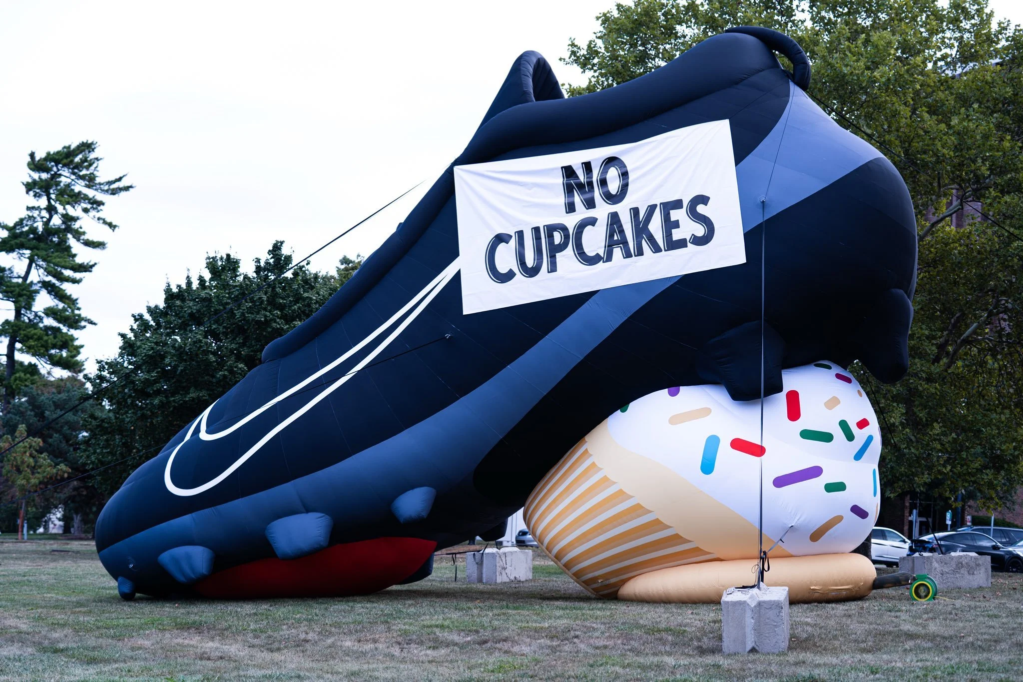NIKE NO CUPCAKES