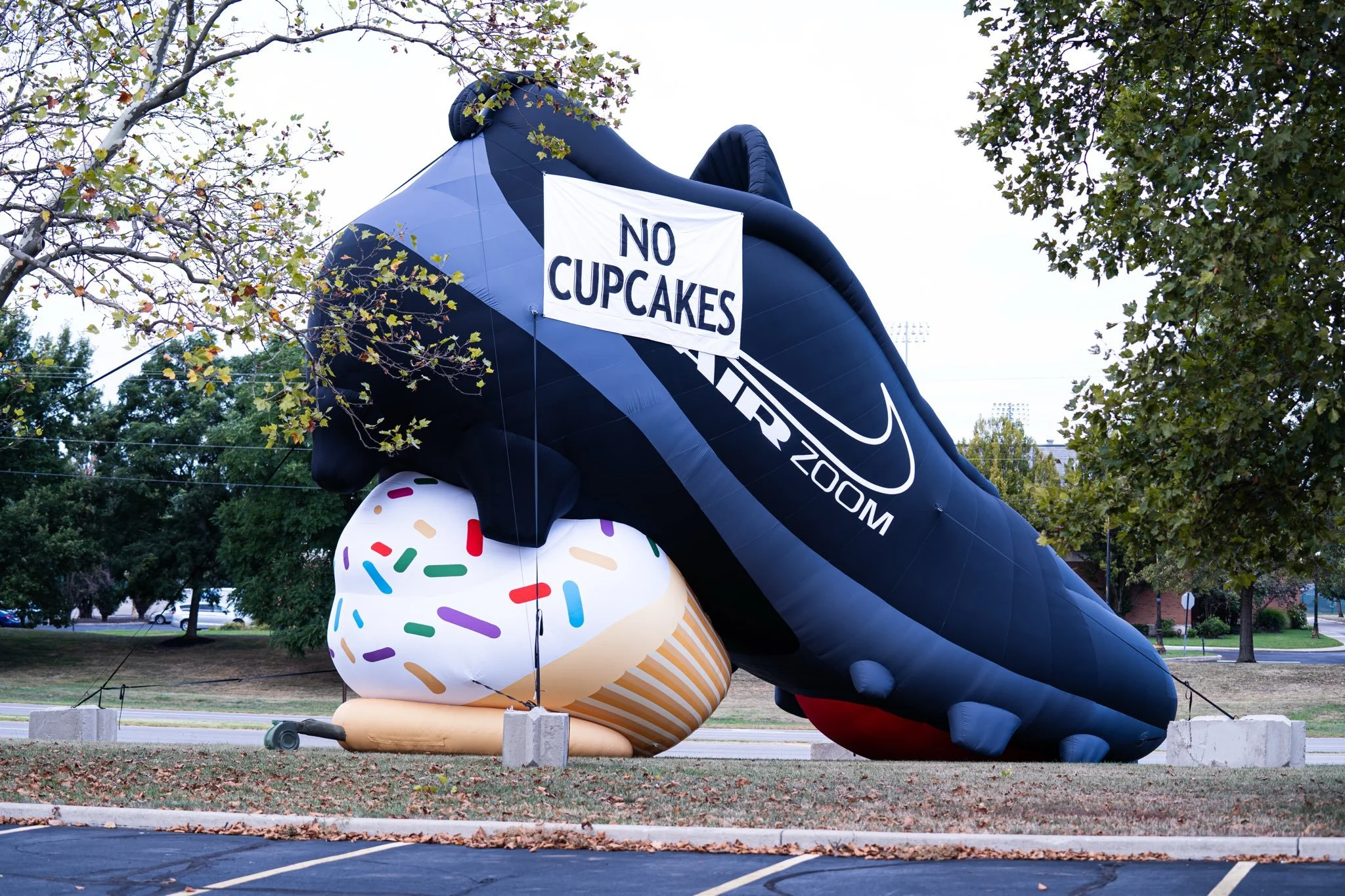 NikeCupcakes (2).jpg