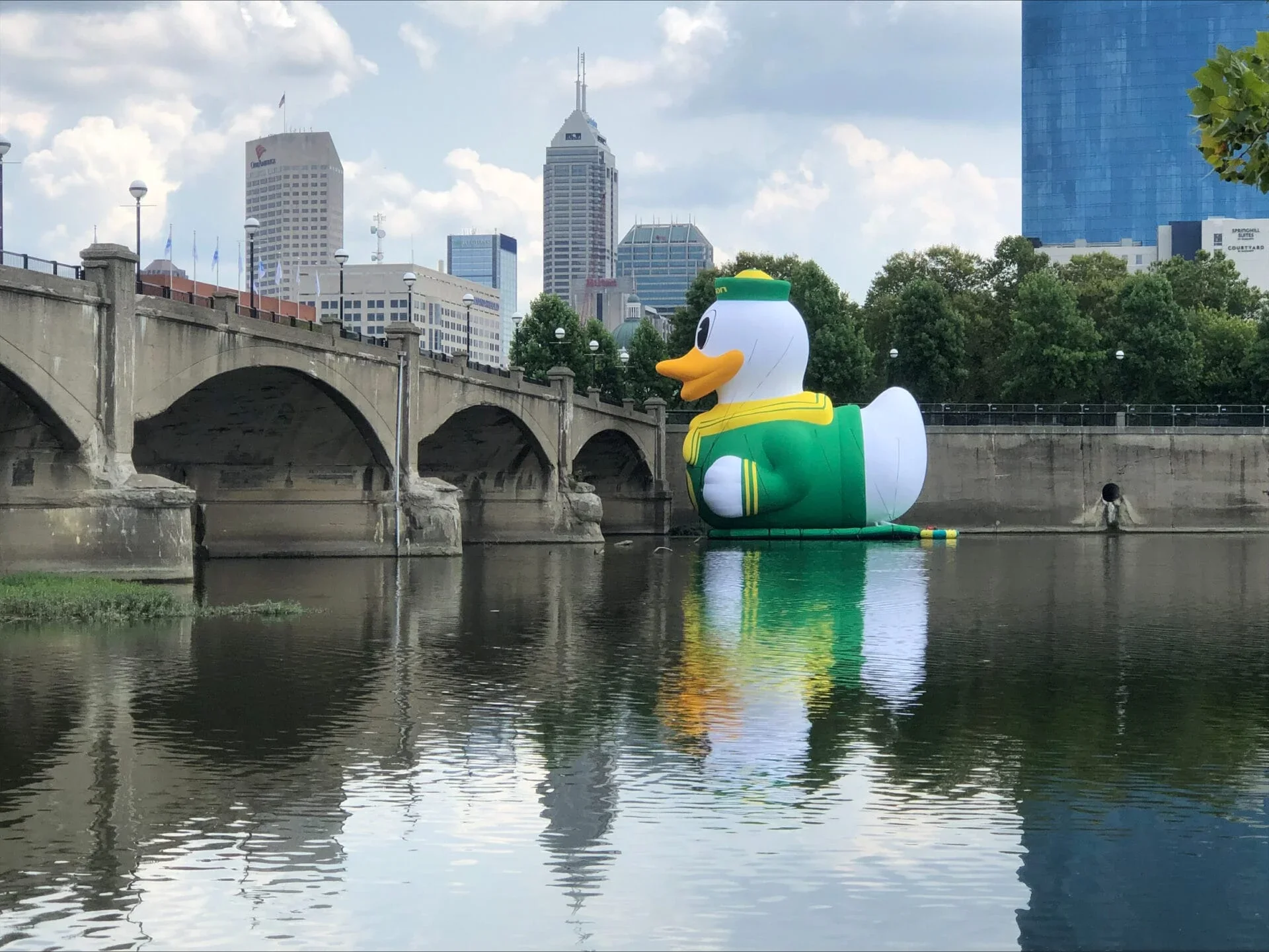 Oducks (6).webp