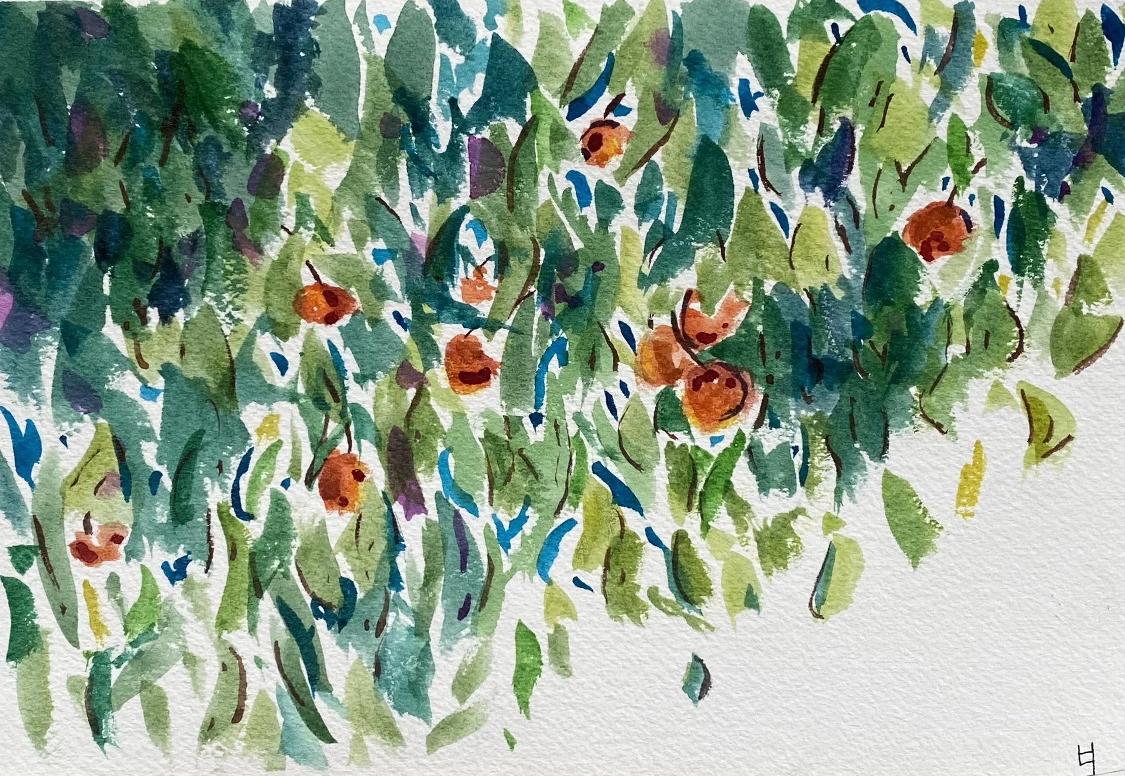 No Apples Just Oranges | 6.5"x9.75"