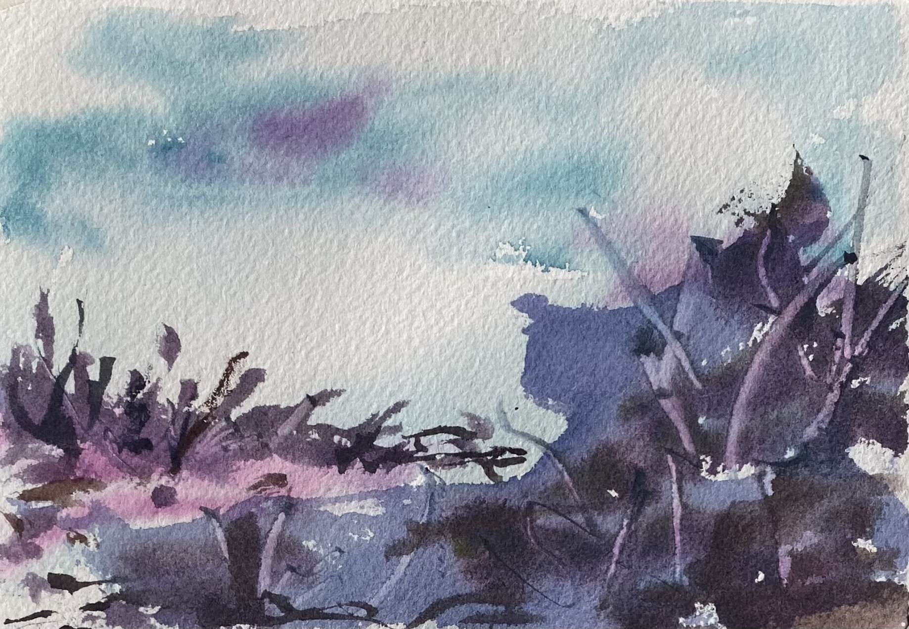Landscape Study 2