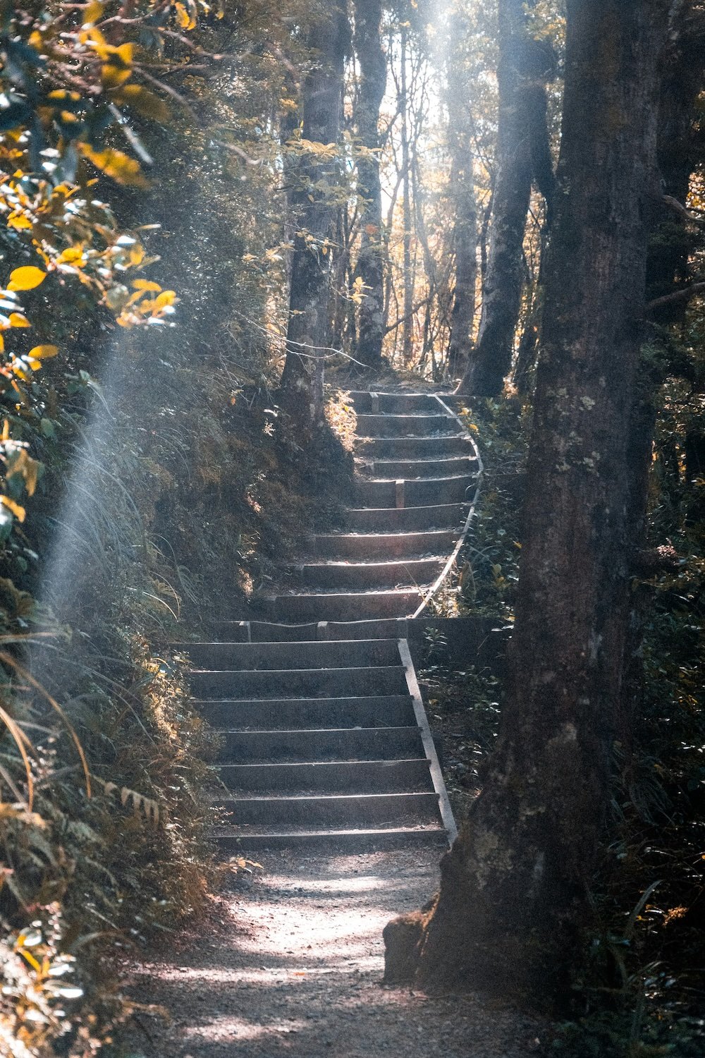 escalier
