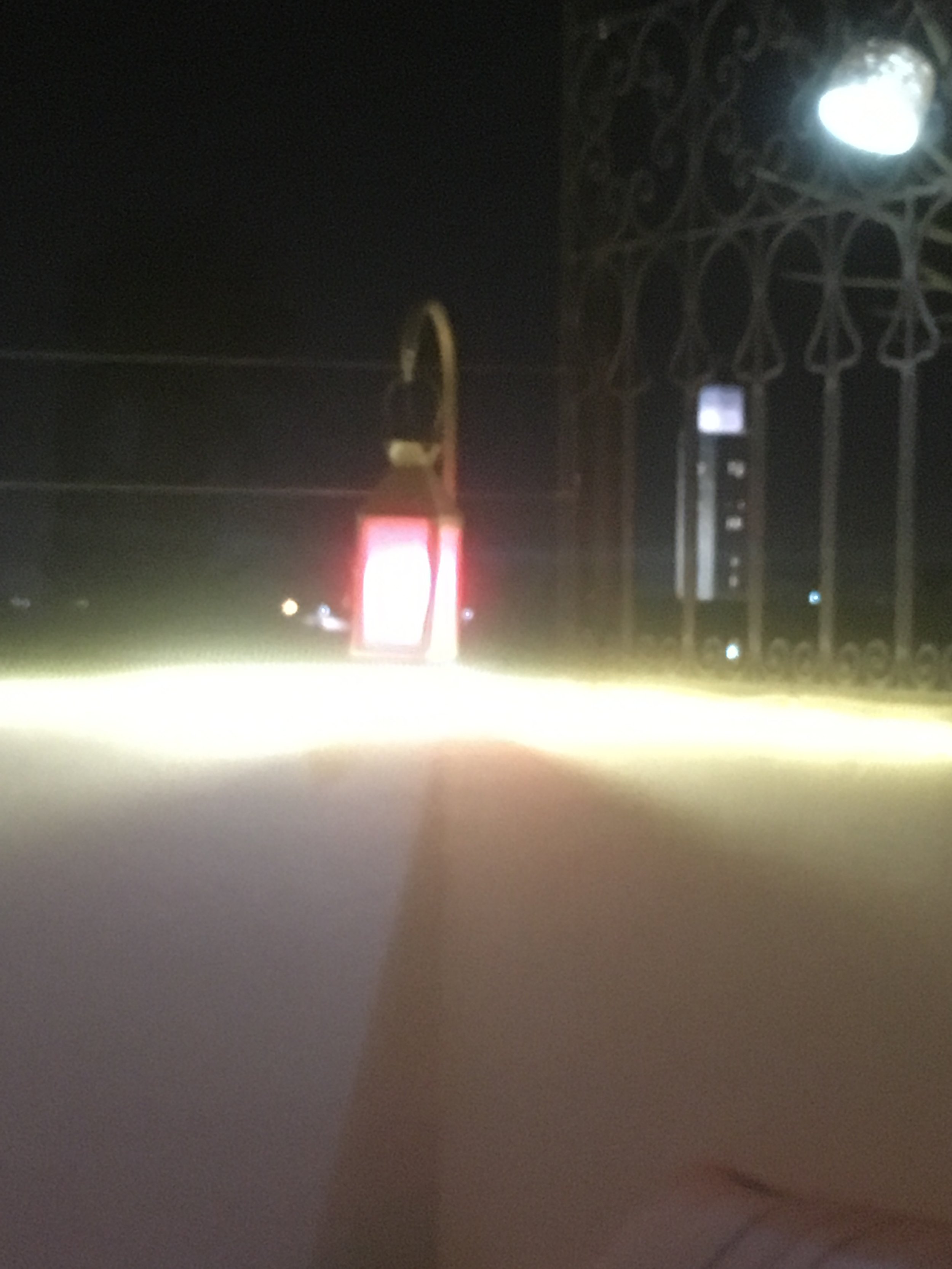 IMG_3450.jpeg