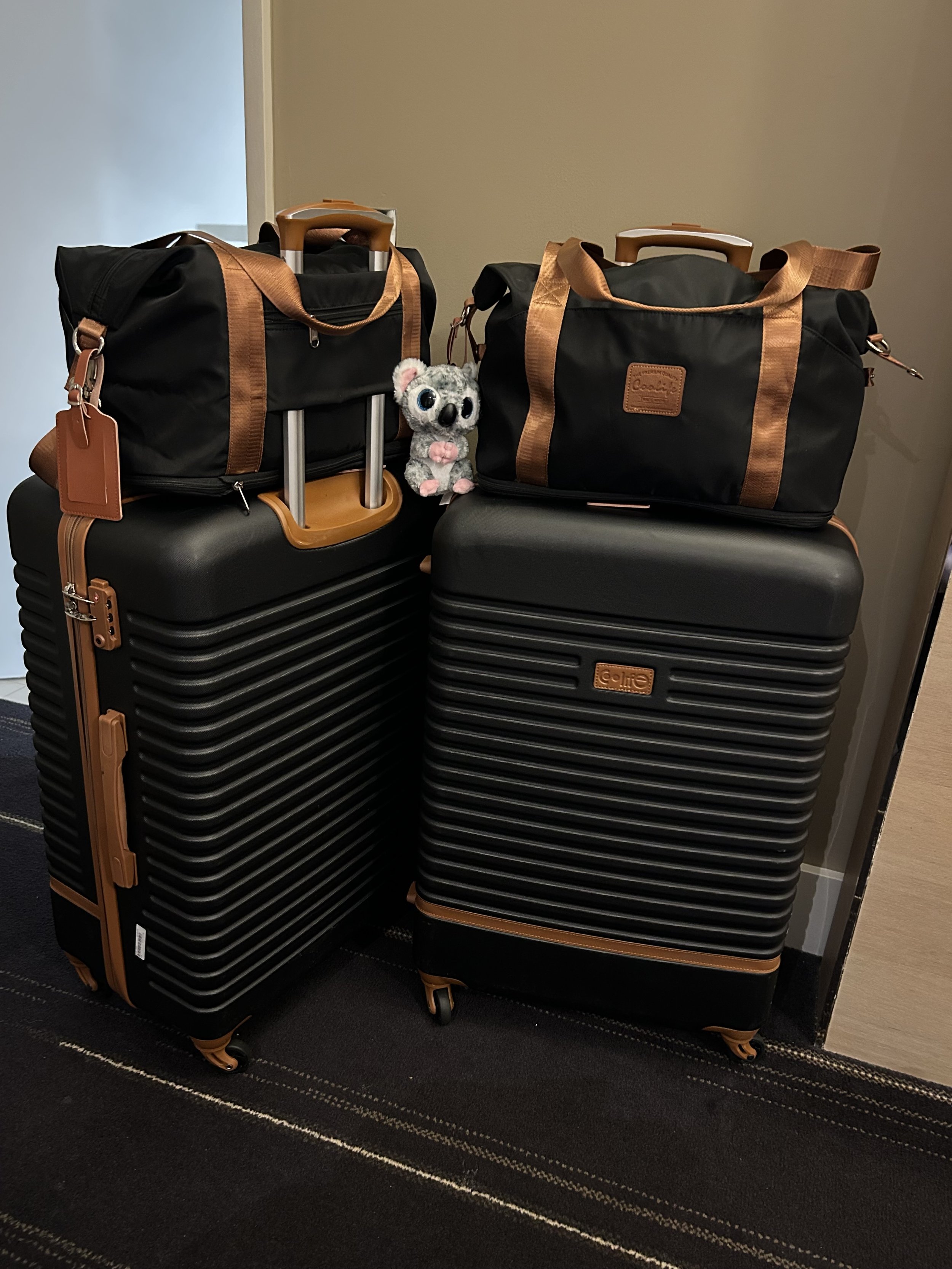 Travel day a story of flights, fancy and wheelchair seats