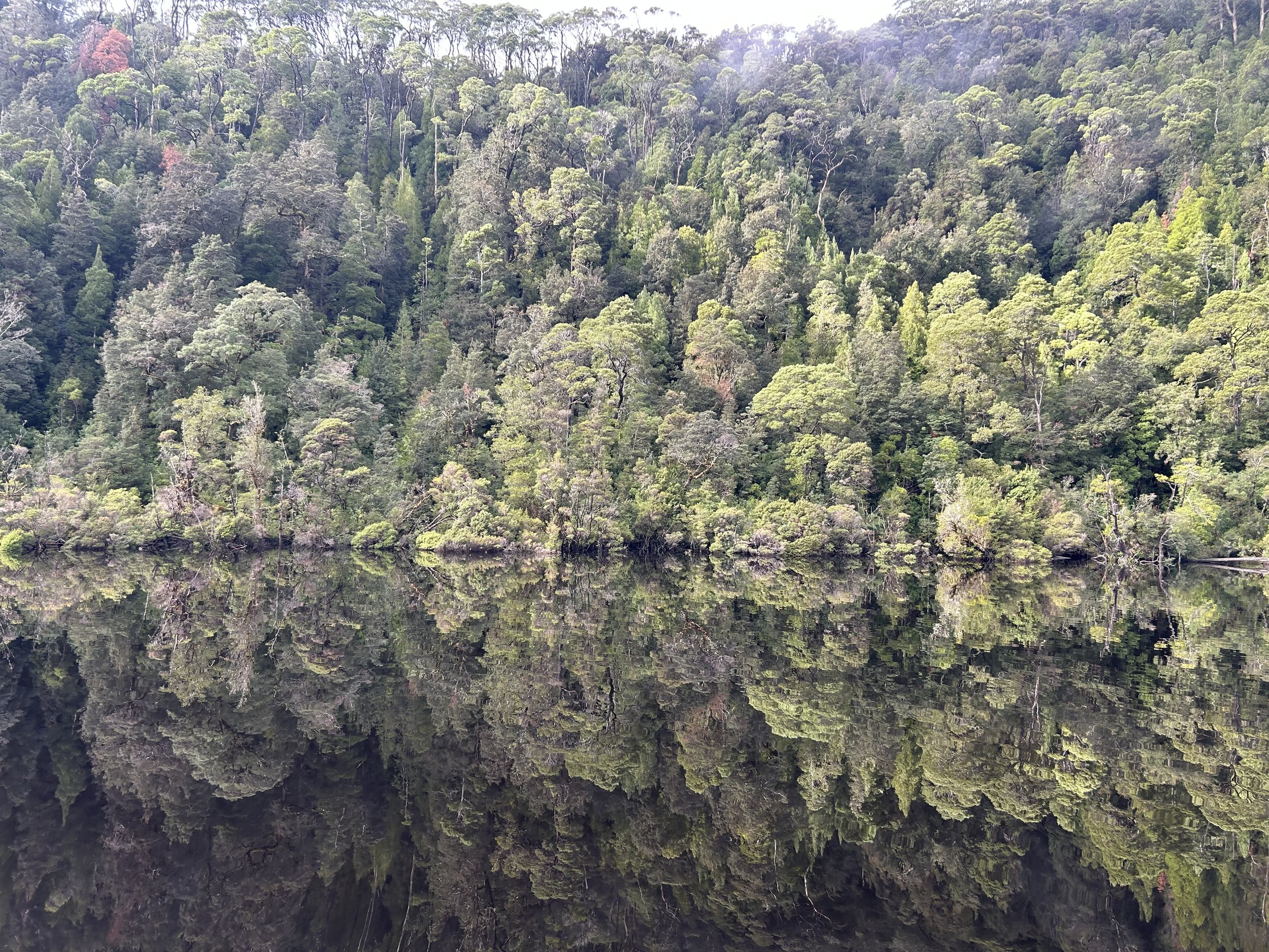 Tasmania | trains, boats, forests and a ship that never was