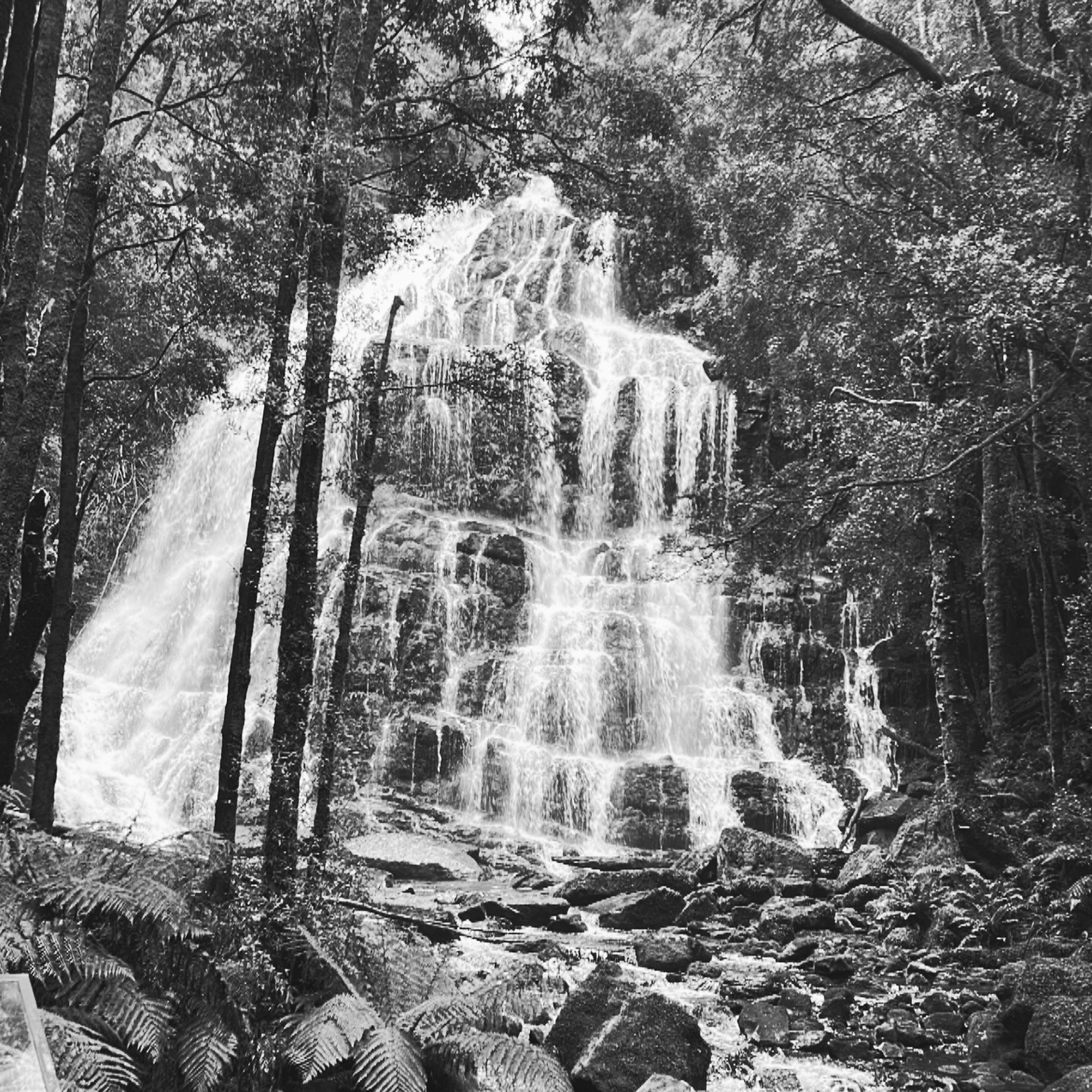 Chasing waterfalls
