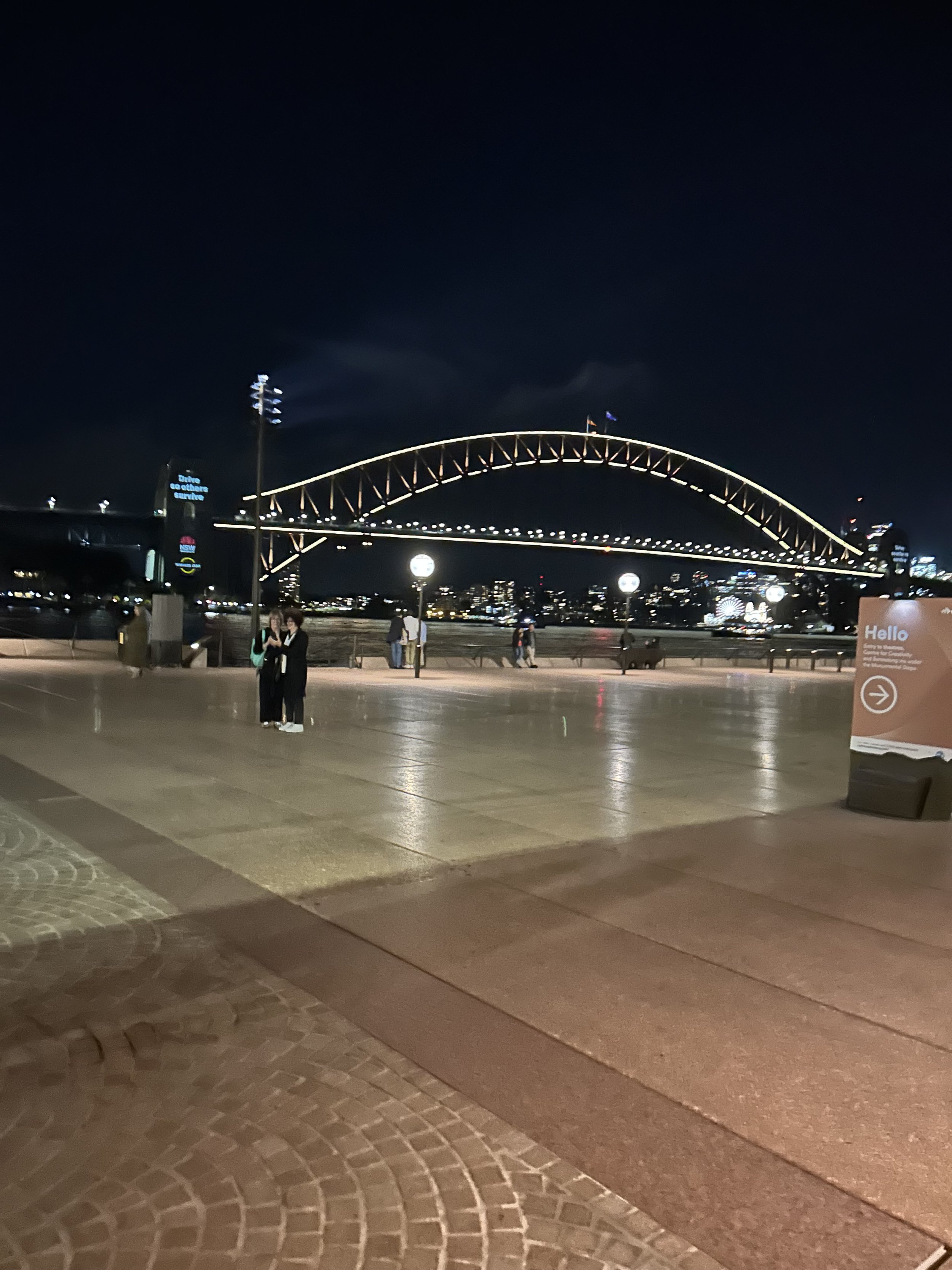 Sydney | ferries, animals and Guitars