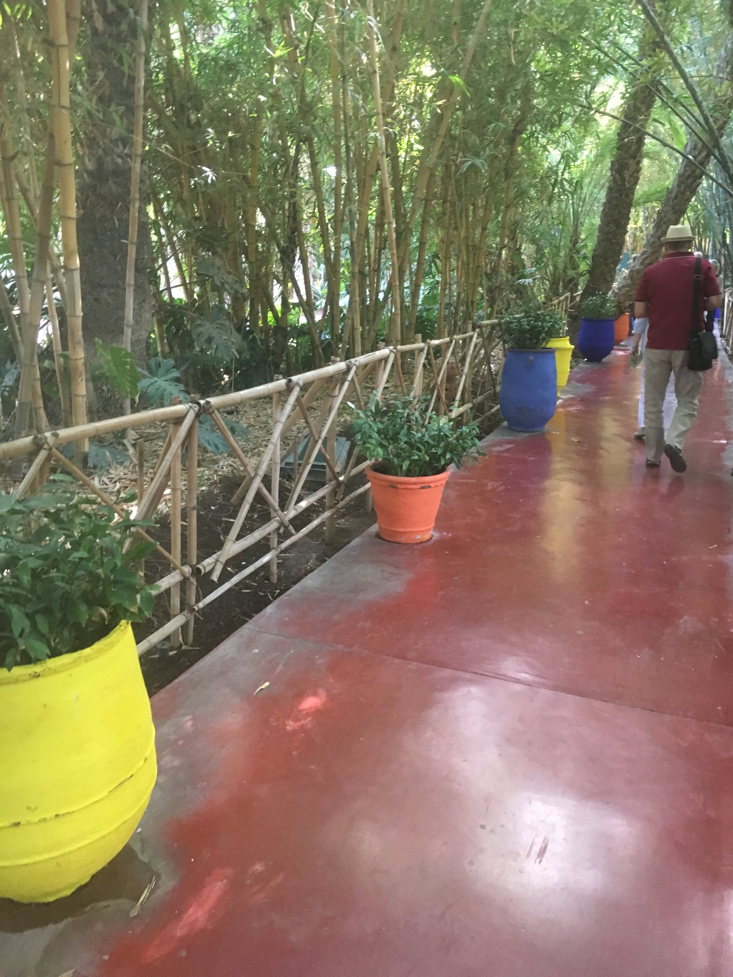 IMG_3399.jpeg