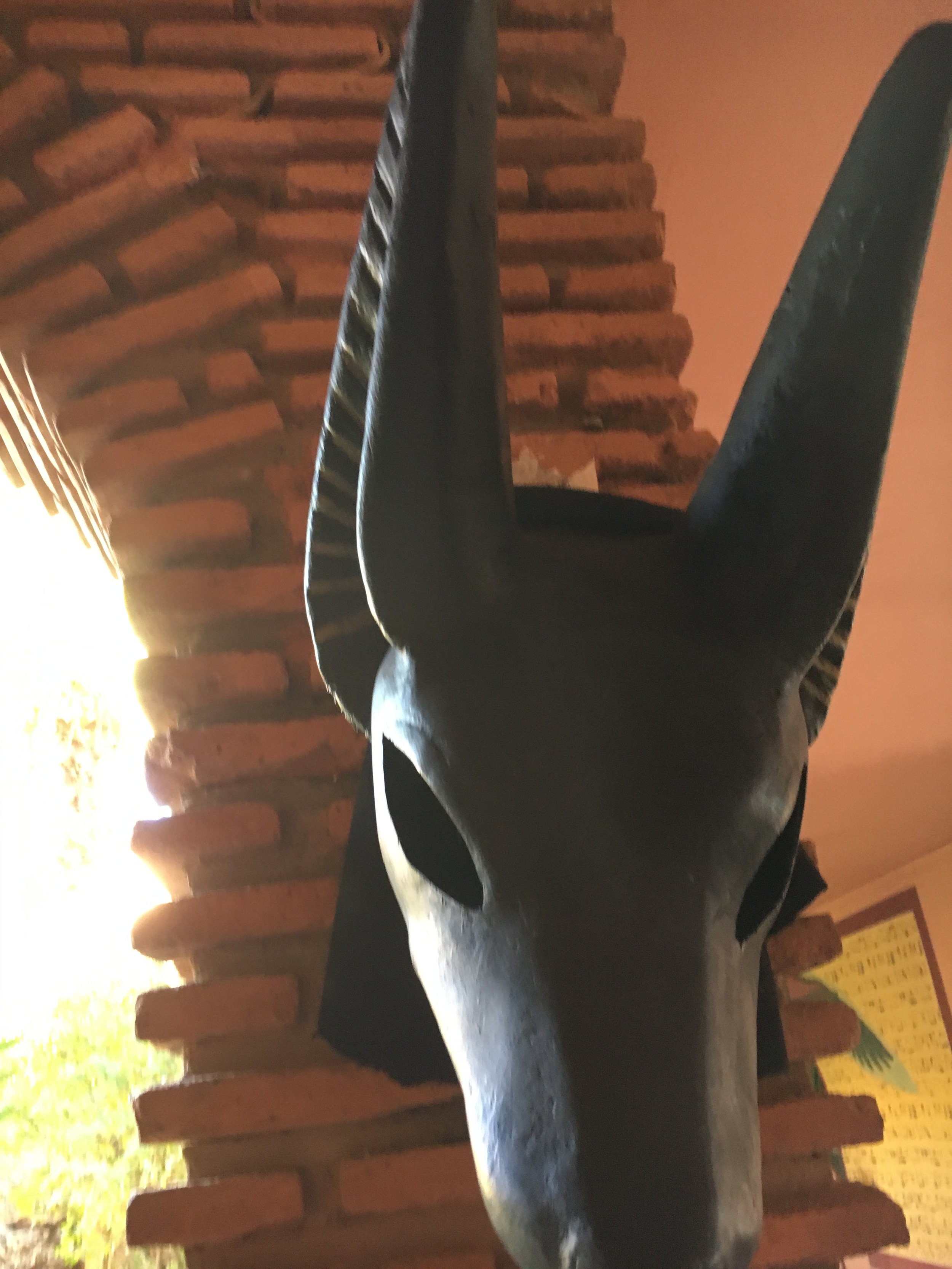 IMG_3335.jpeg
