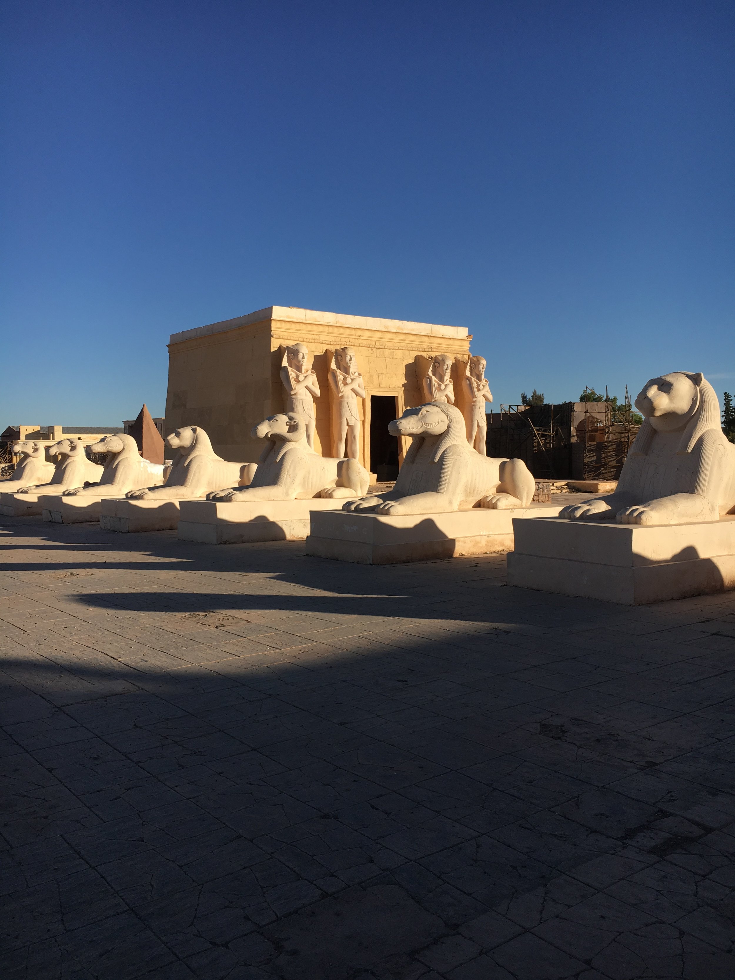 IMG_3365.jpeg