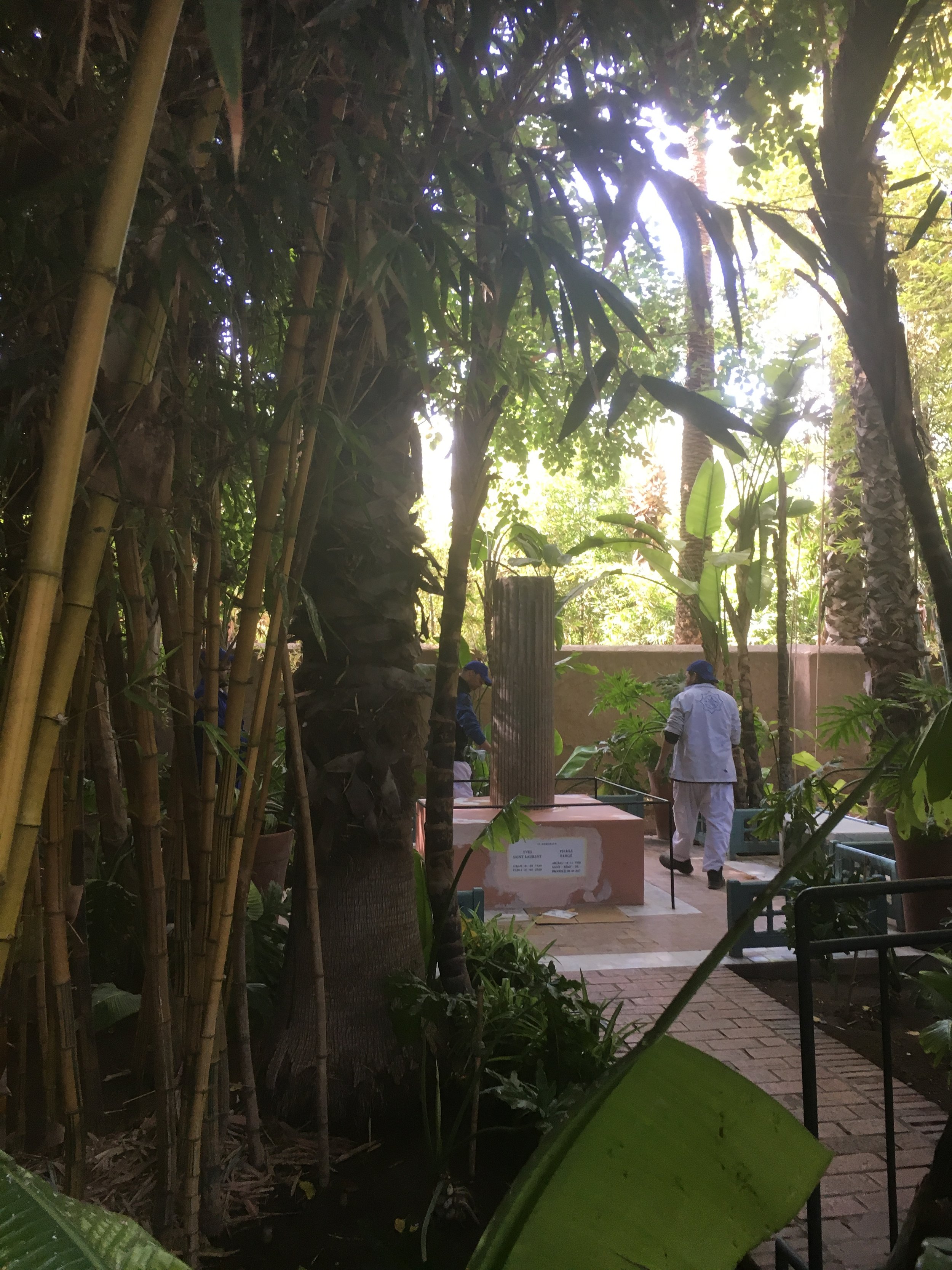 IMG_3401.jpeg