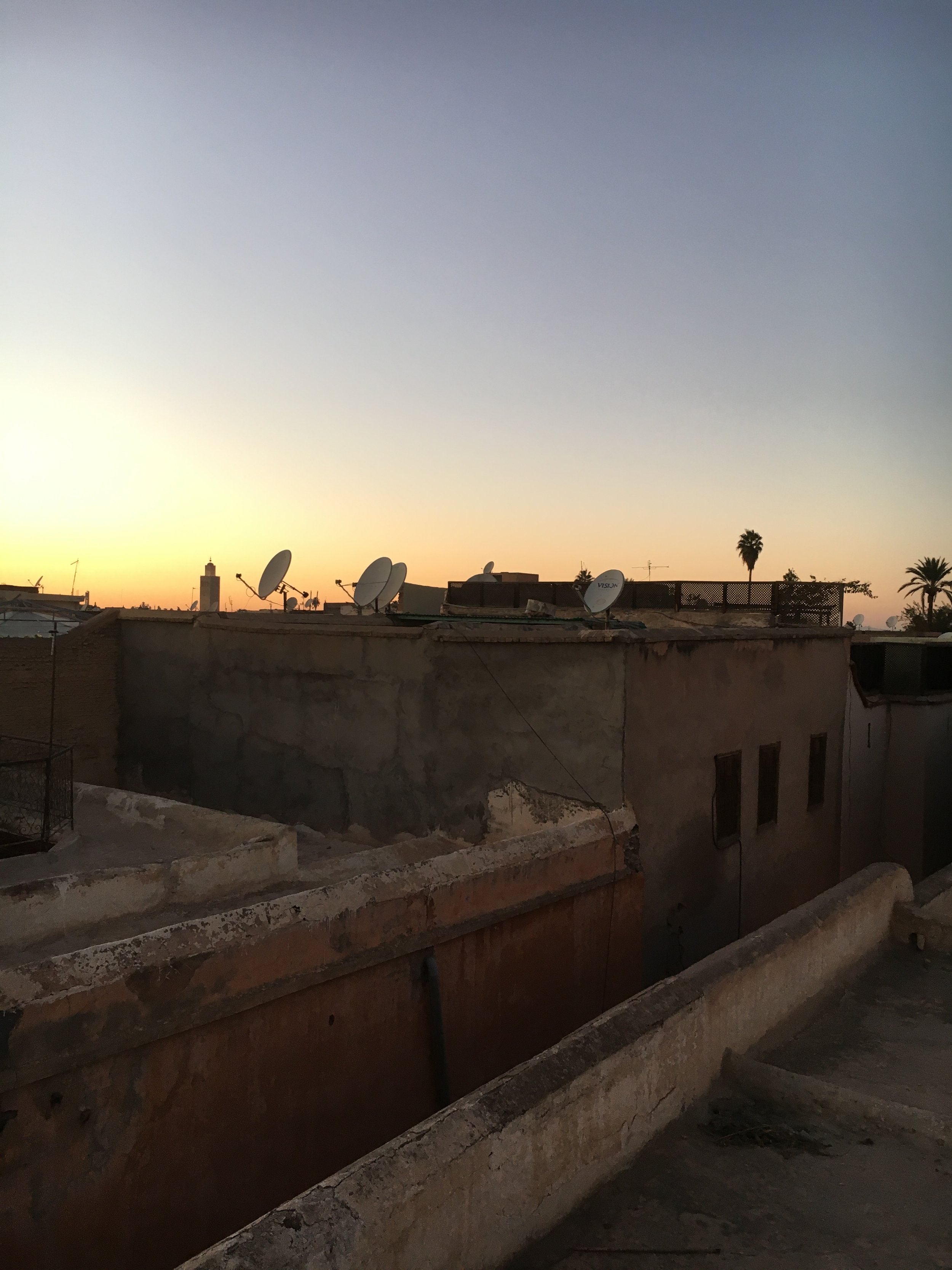 IMG_3150.jpeg