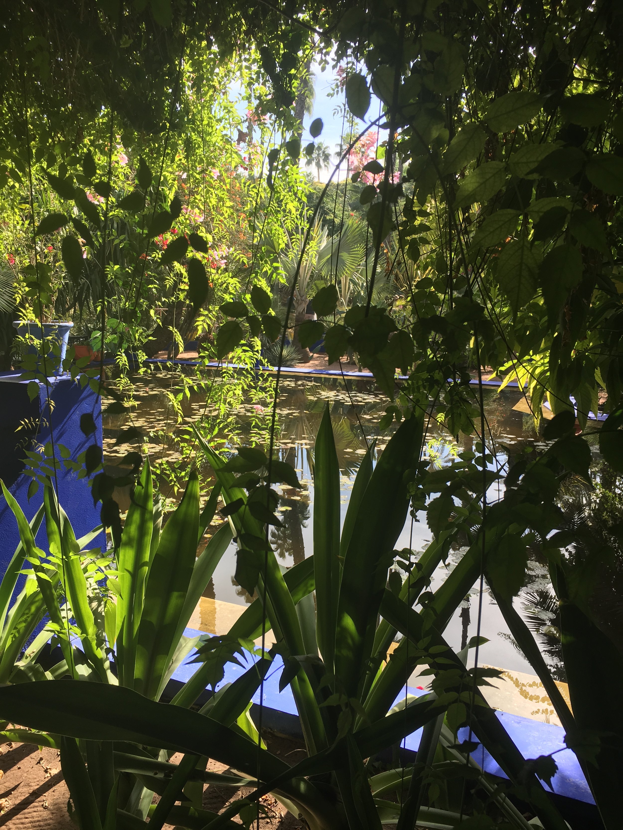 IMG_3410.jpeg
