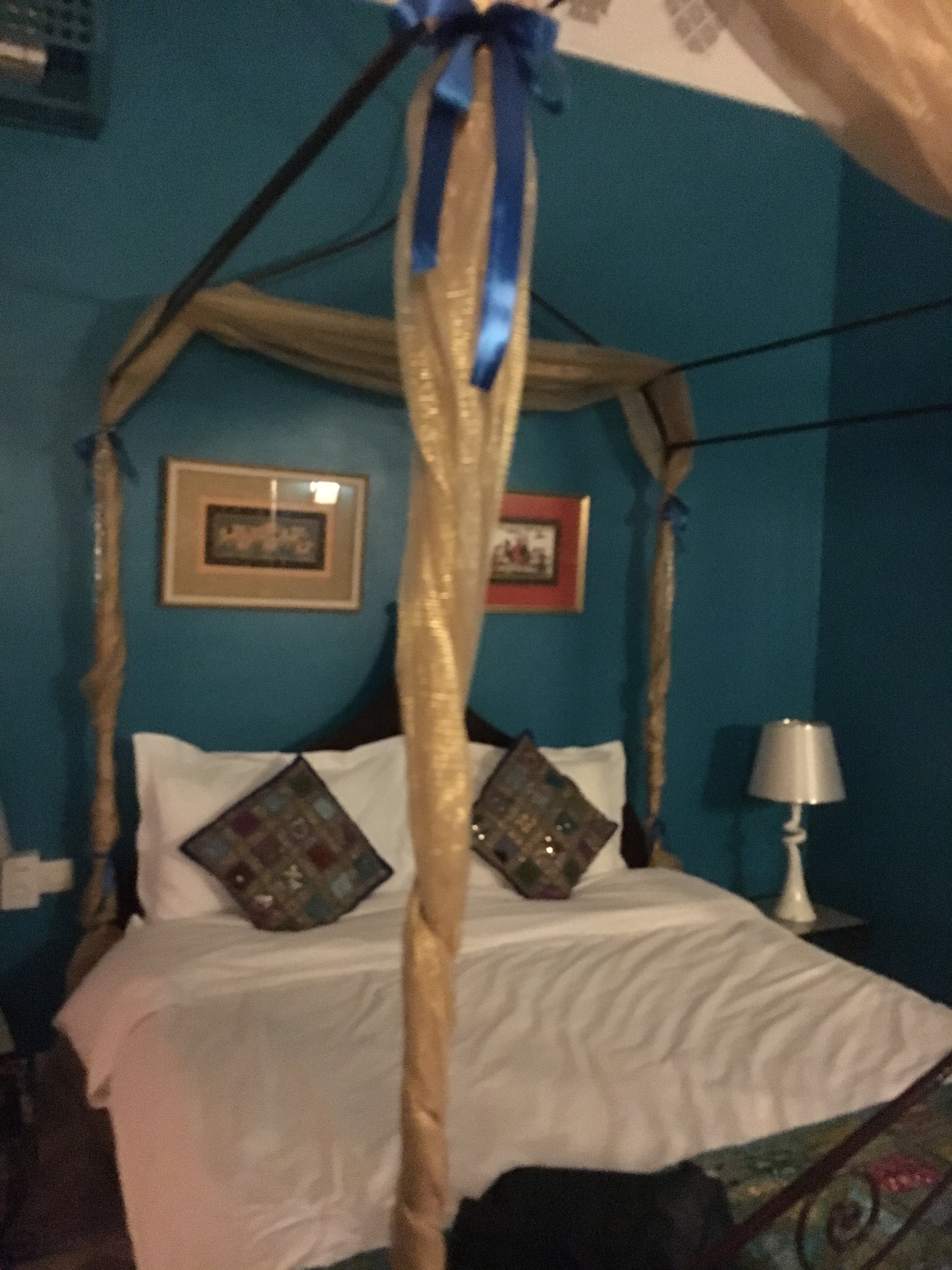 IMG_3155.jpeg
